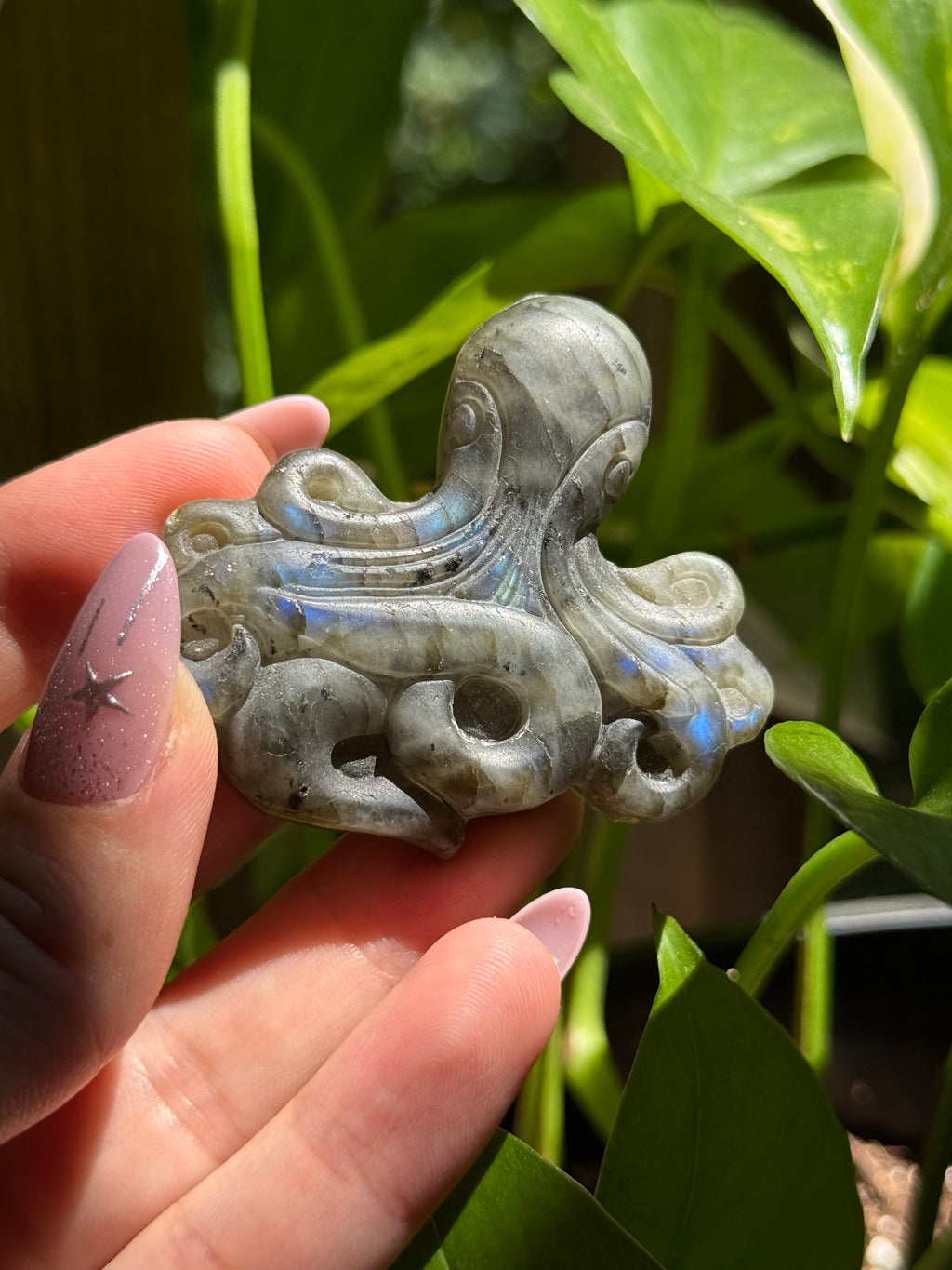Labradorite Octopus Carving D