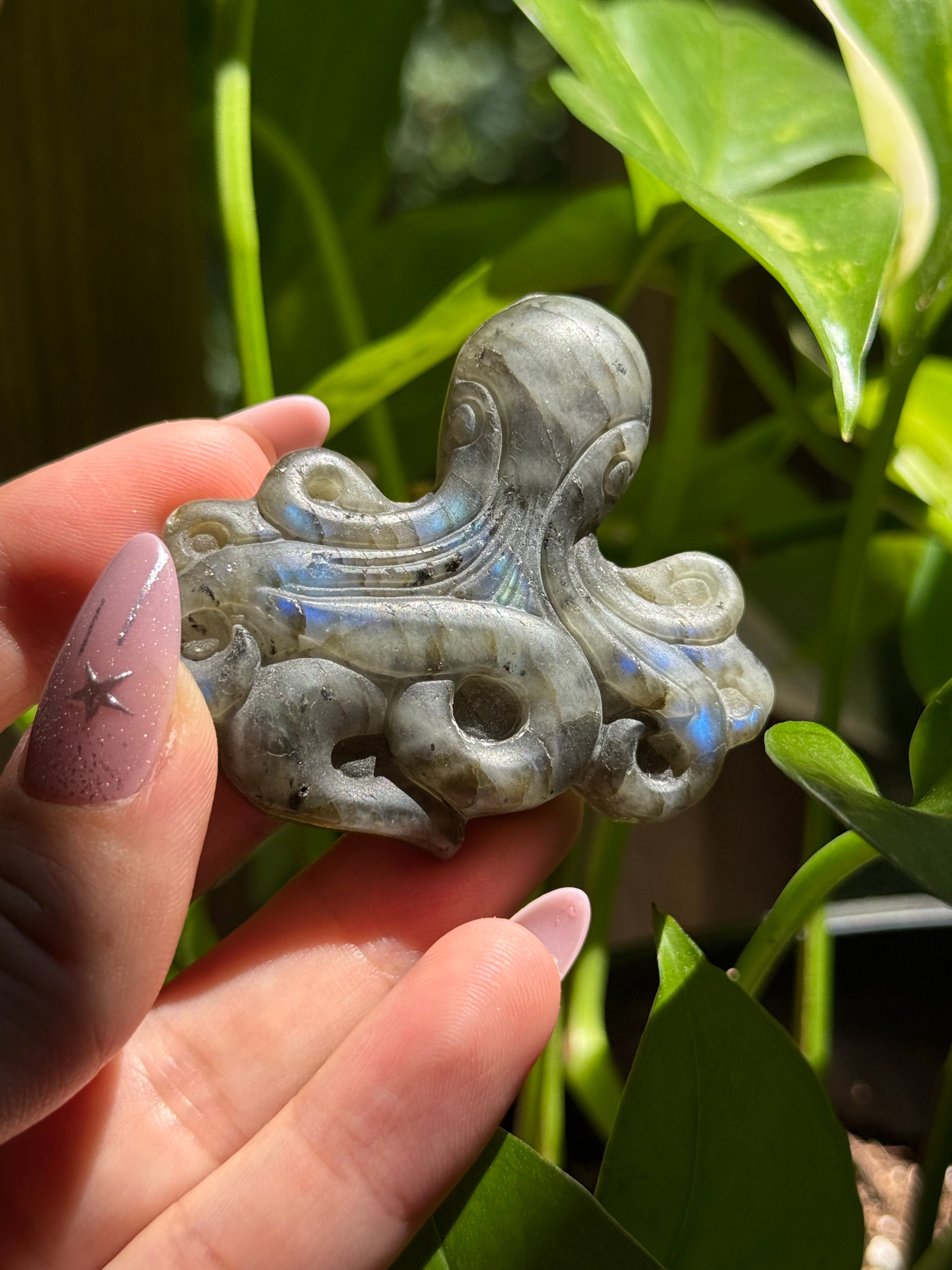 Labradorite Octopus Carving D