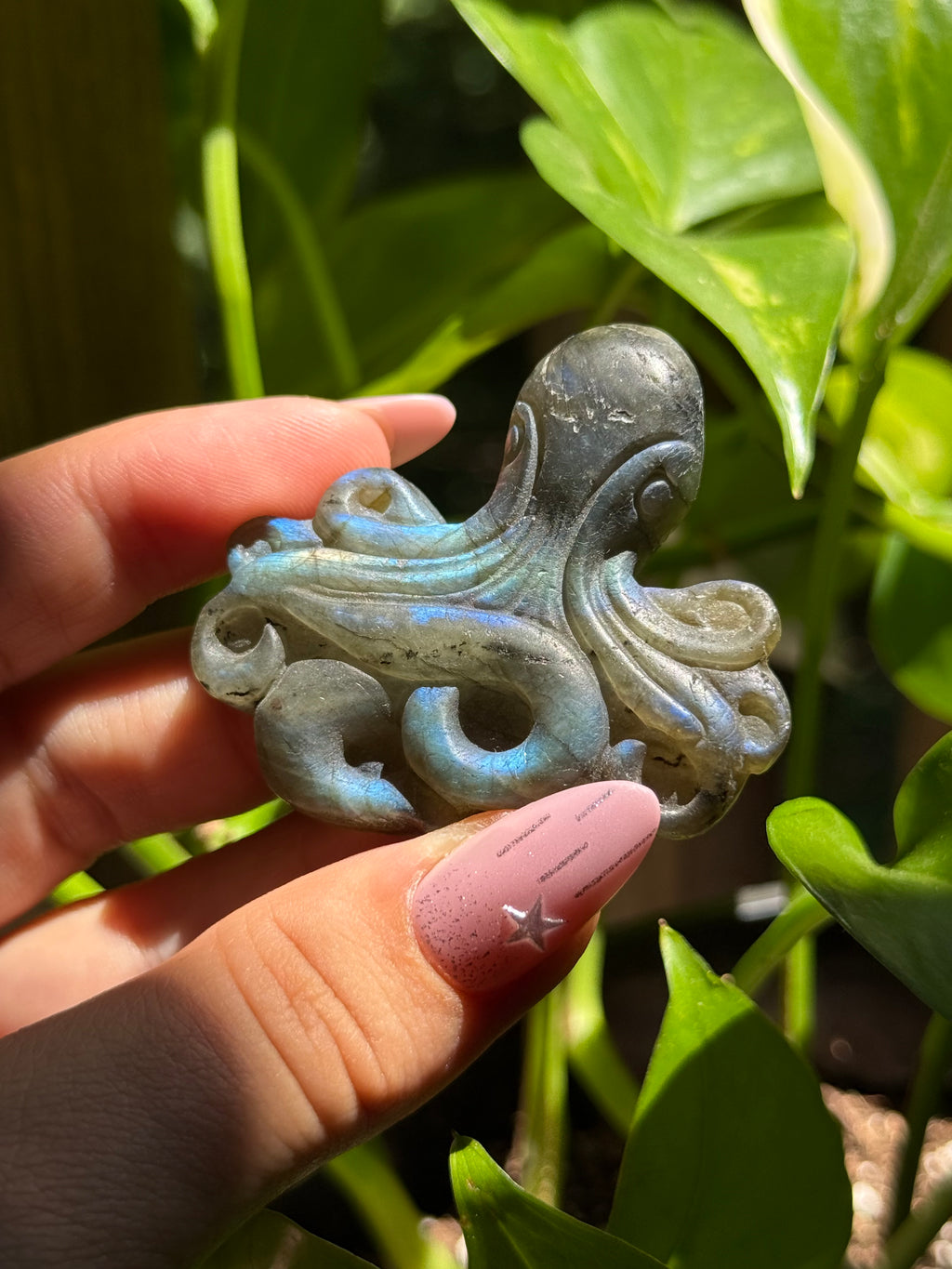 Labradorite Octopus Carving C