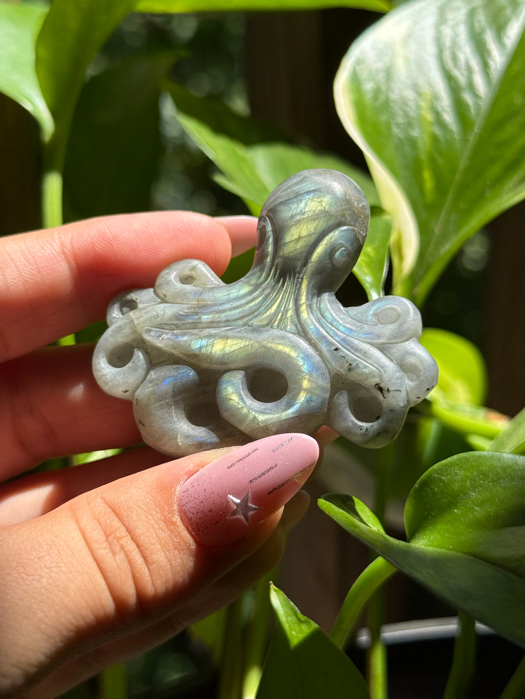 Labradorite Octopus Carving A