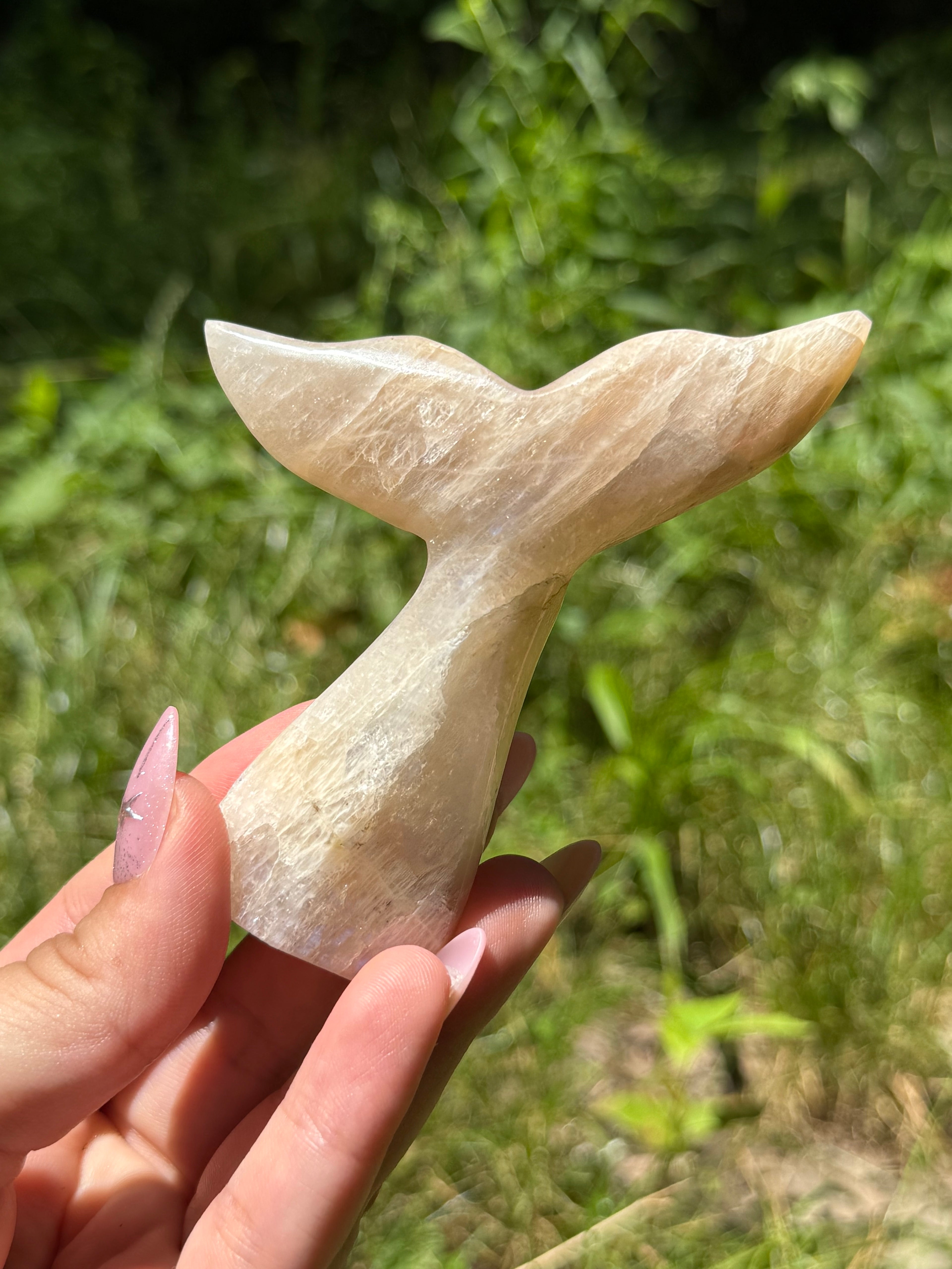 Tanzanian Moonstone Whale (Mermaid) Tail A