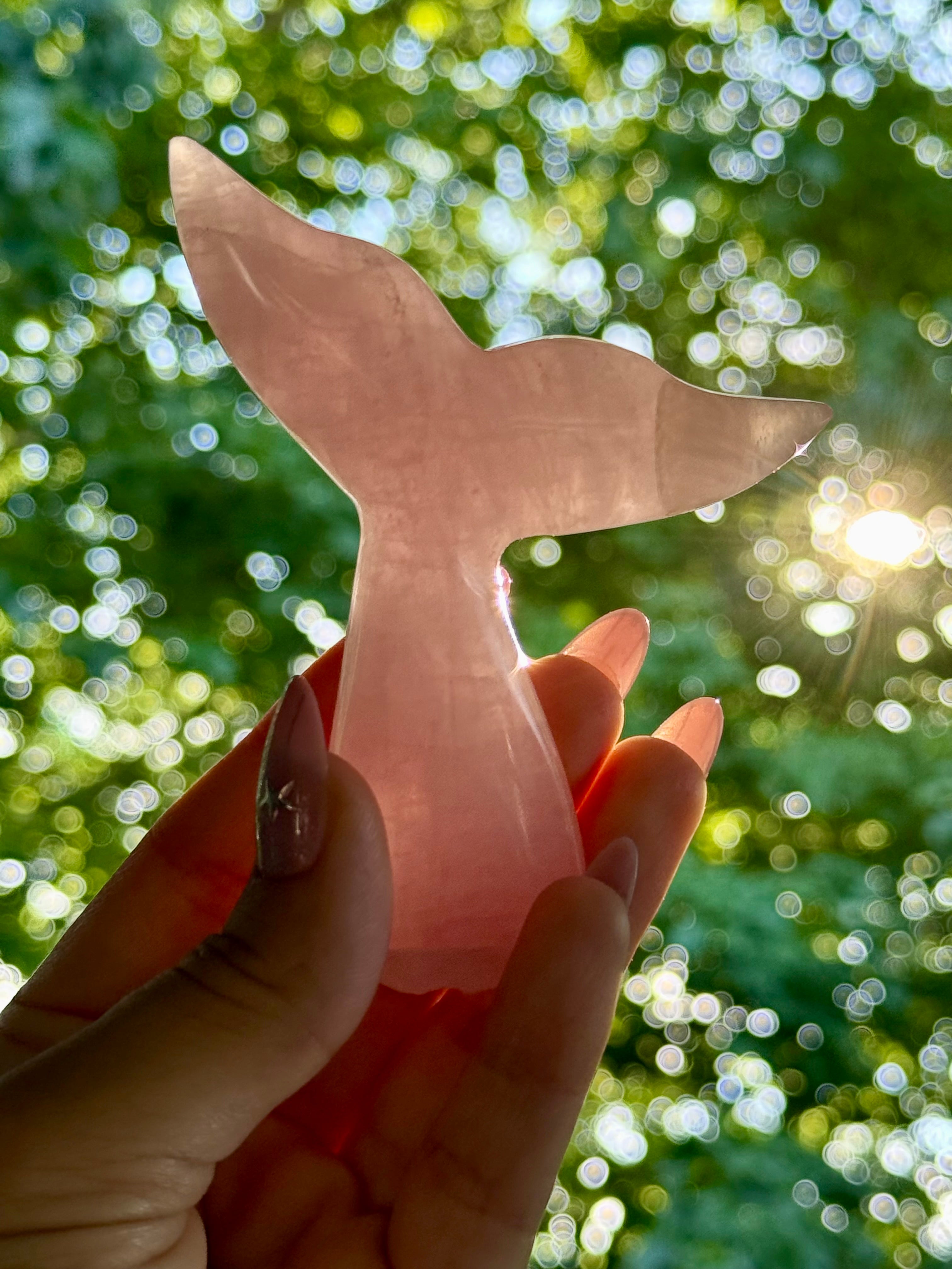 Rose Quartz Whale (Mermaid) Tail H