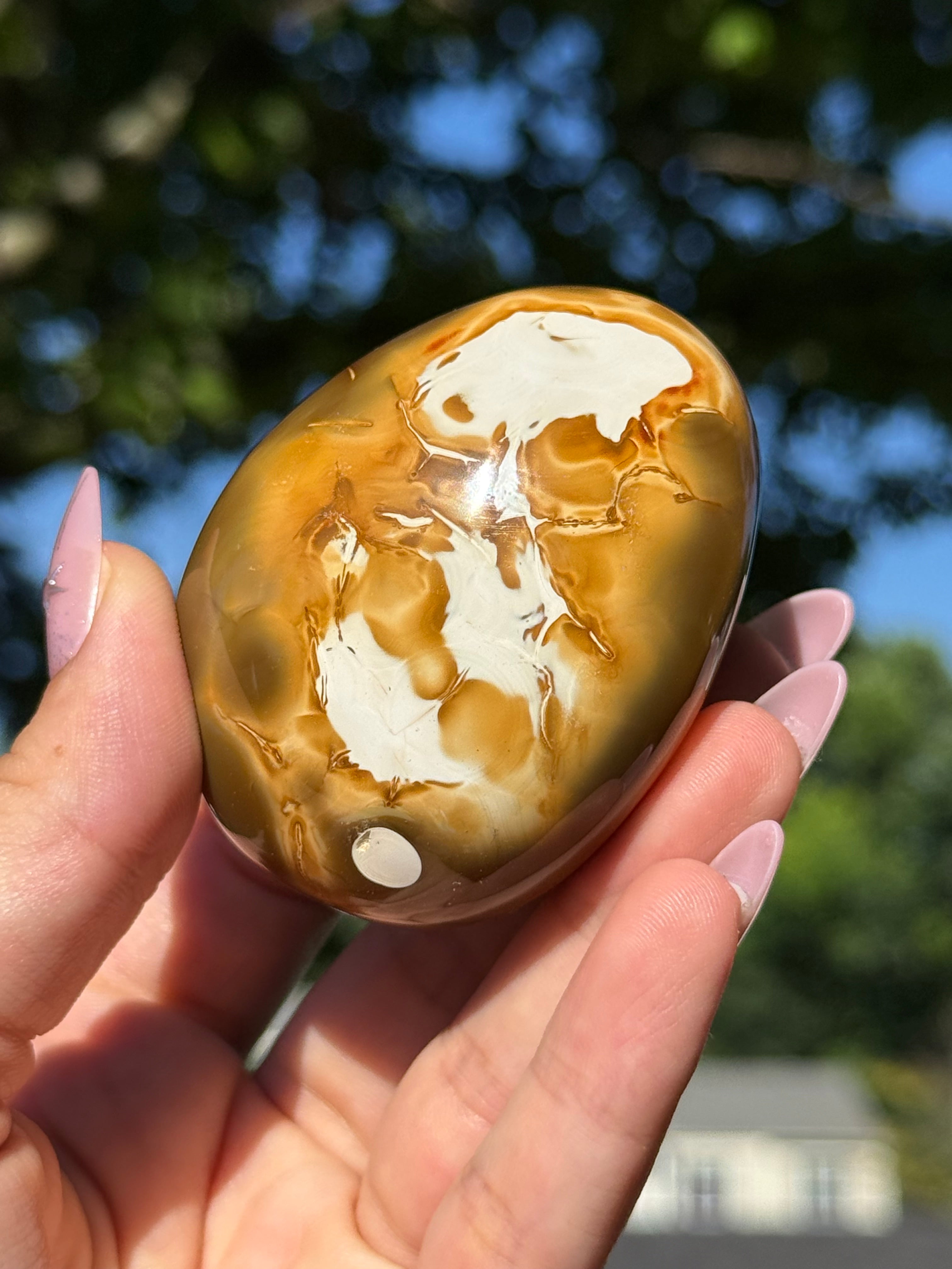 Orca Agate Freeform Palmstone