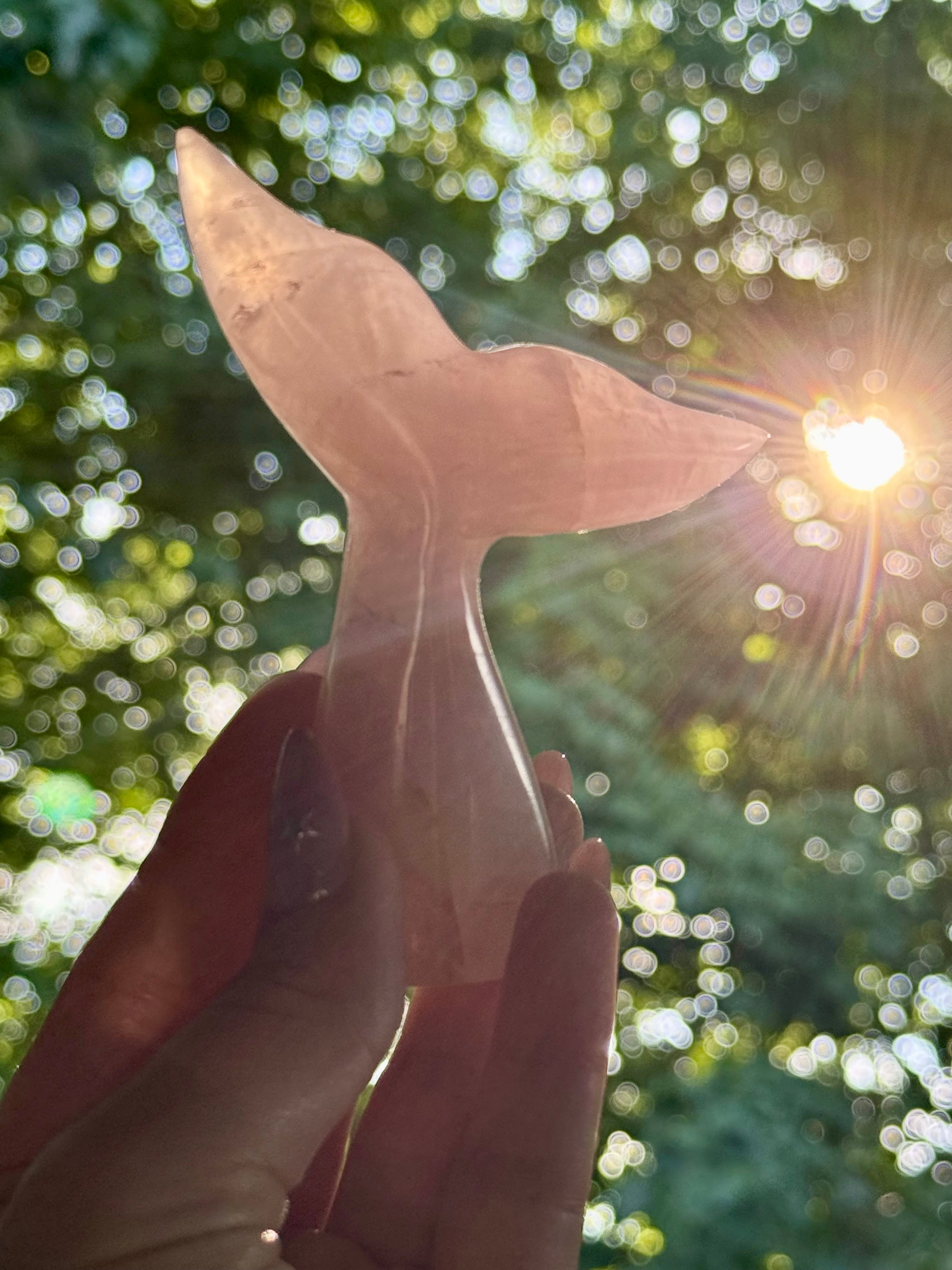 Rose Quartz Whale (Mermaid) Tail I