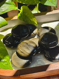 Gold Sheen Obsidian Palmstone ♡Intuitively Chosen♡
