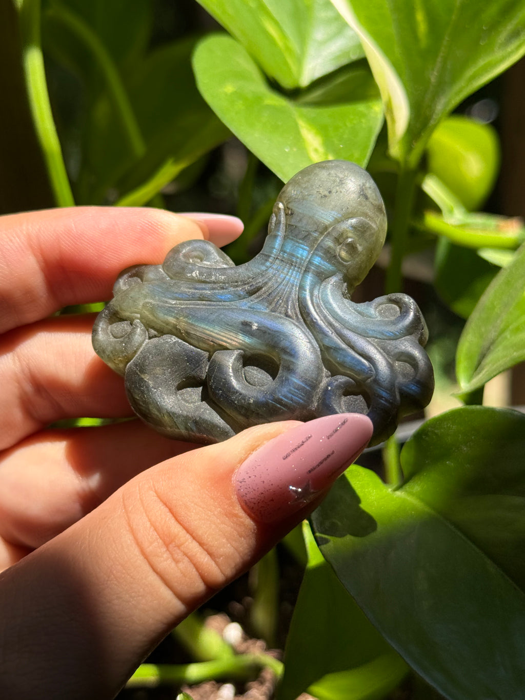 Labradorite Octopus Carving B