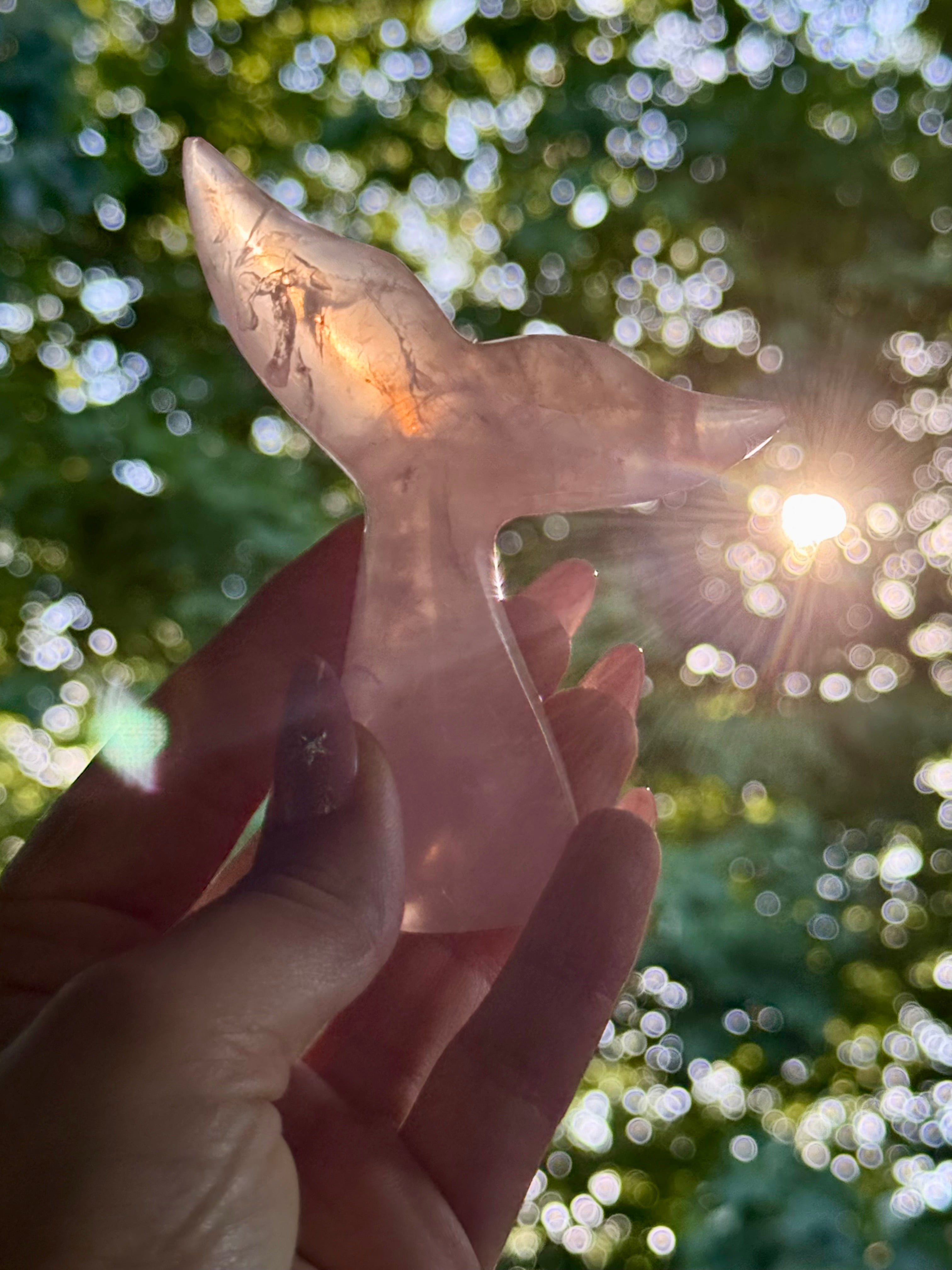 Rose Quartz Whale (Mermaid) Tail A