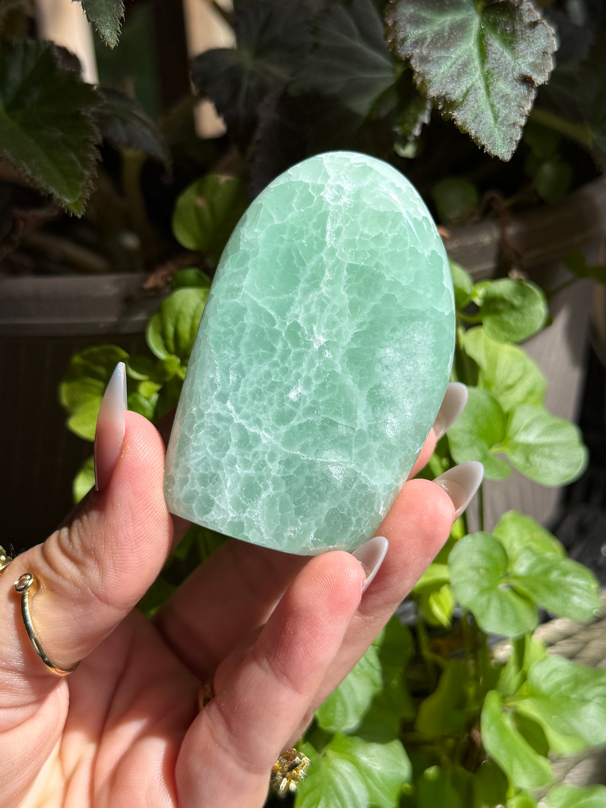 Pistachio Calcite Freeform B