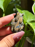 Labradorite Goldfish Carving C