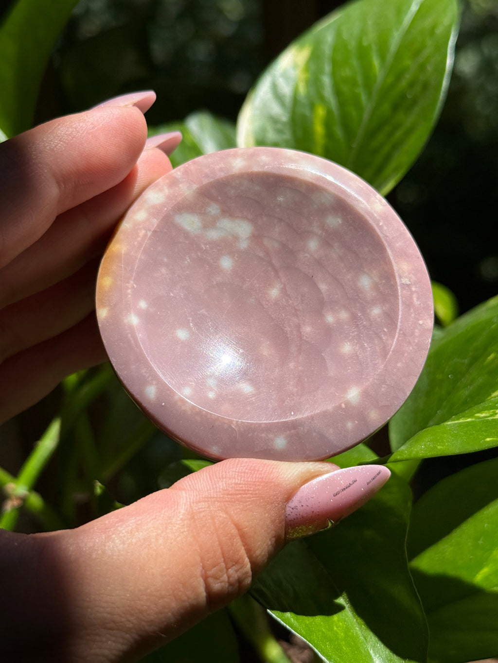 Sea Jasper Bowl "Fireflies"