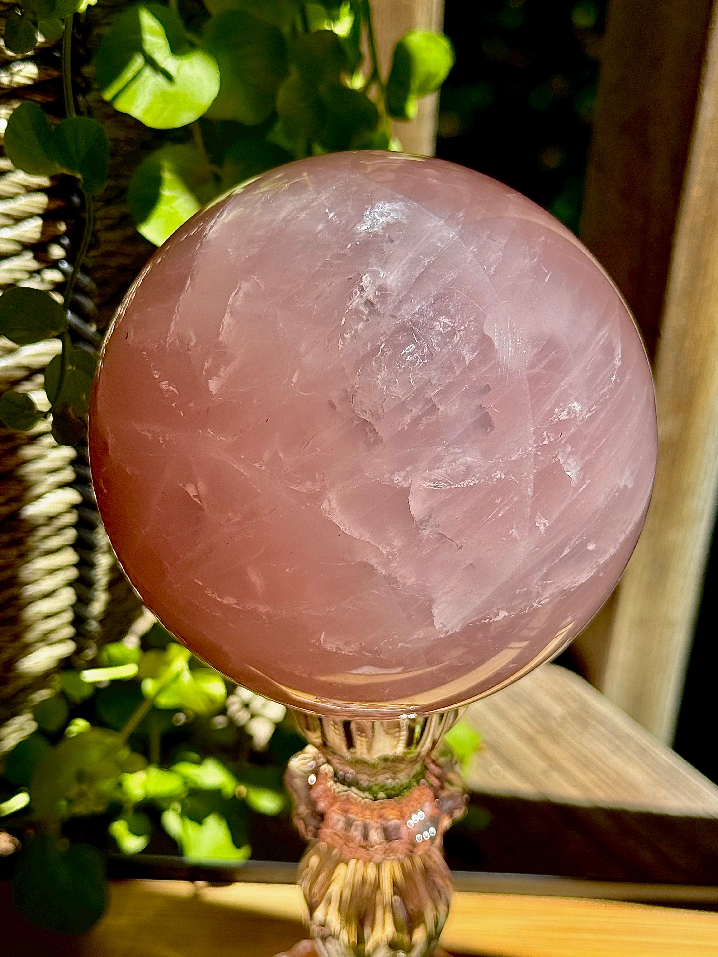 Rose Quartz Statement Piece 3.4lb