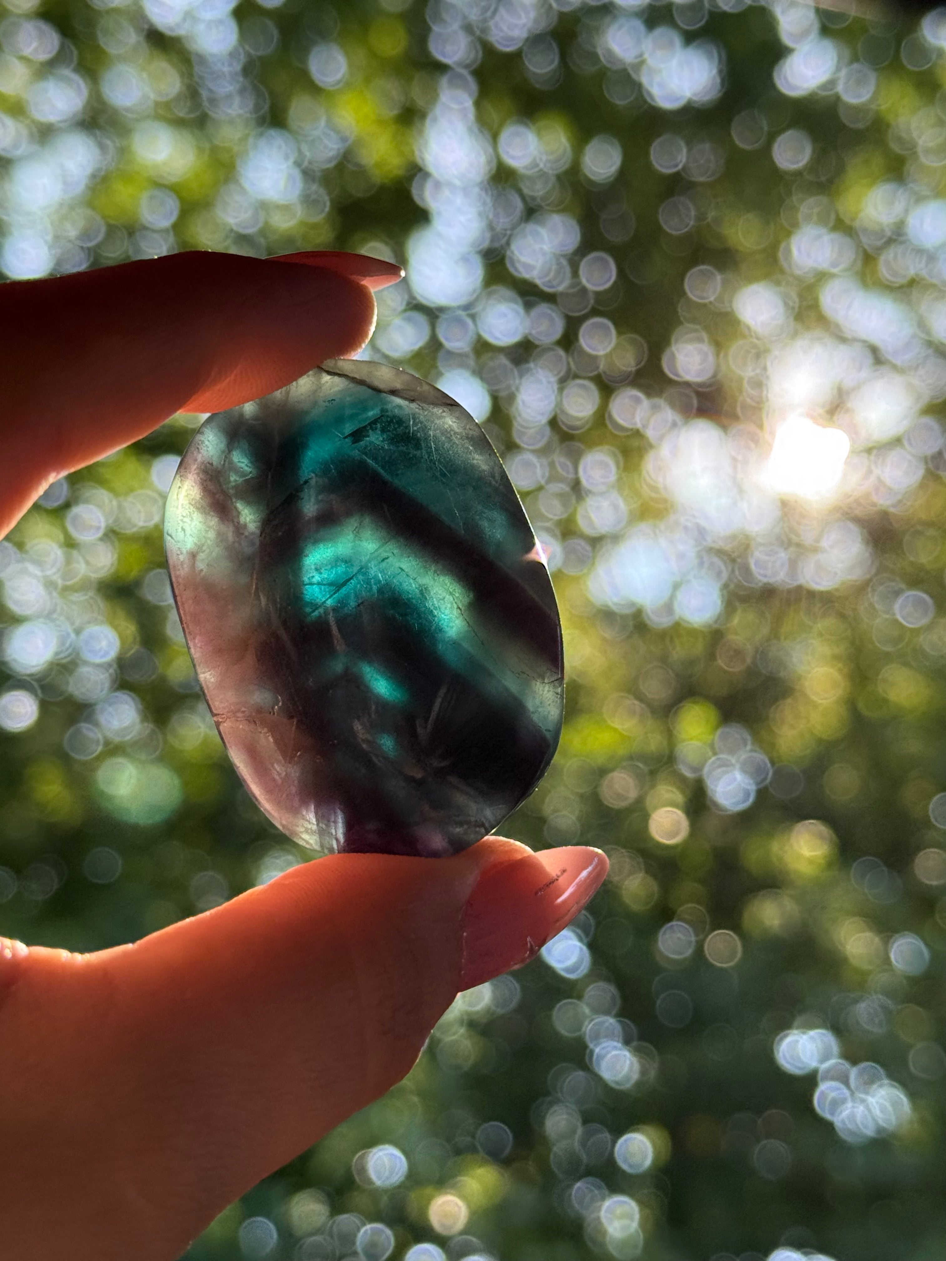Black Rose Fluorite Palmstone F
