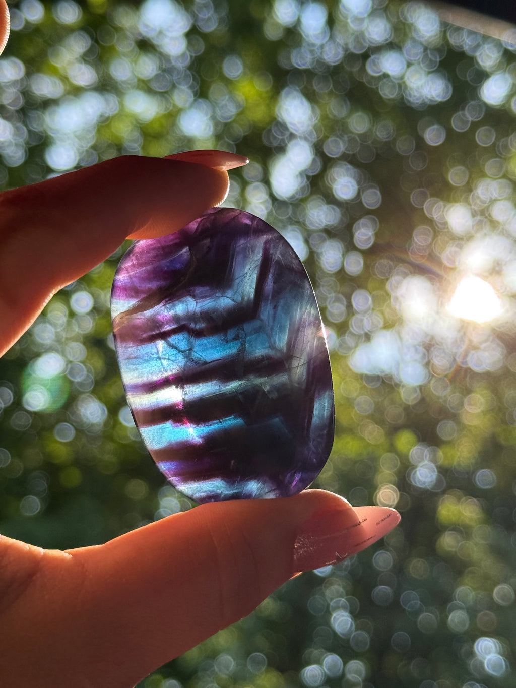 Black Rose Fluorite Palmstone G