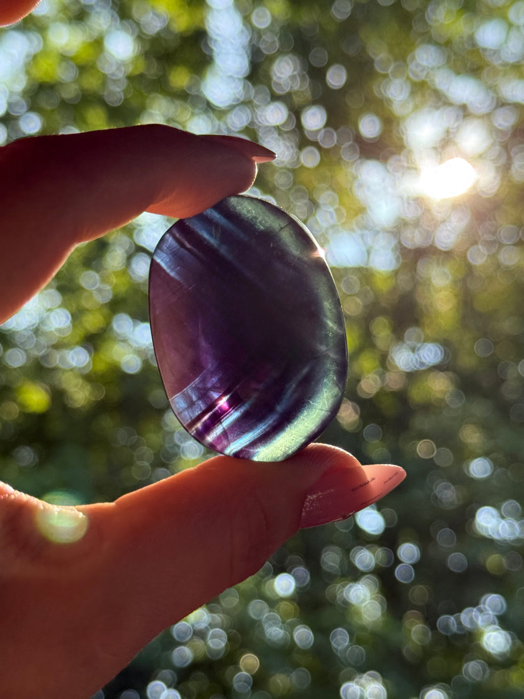 Black Rose Fluorite Palmstone D