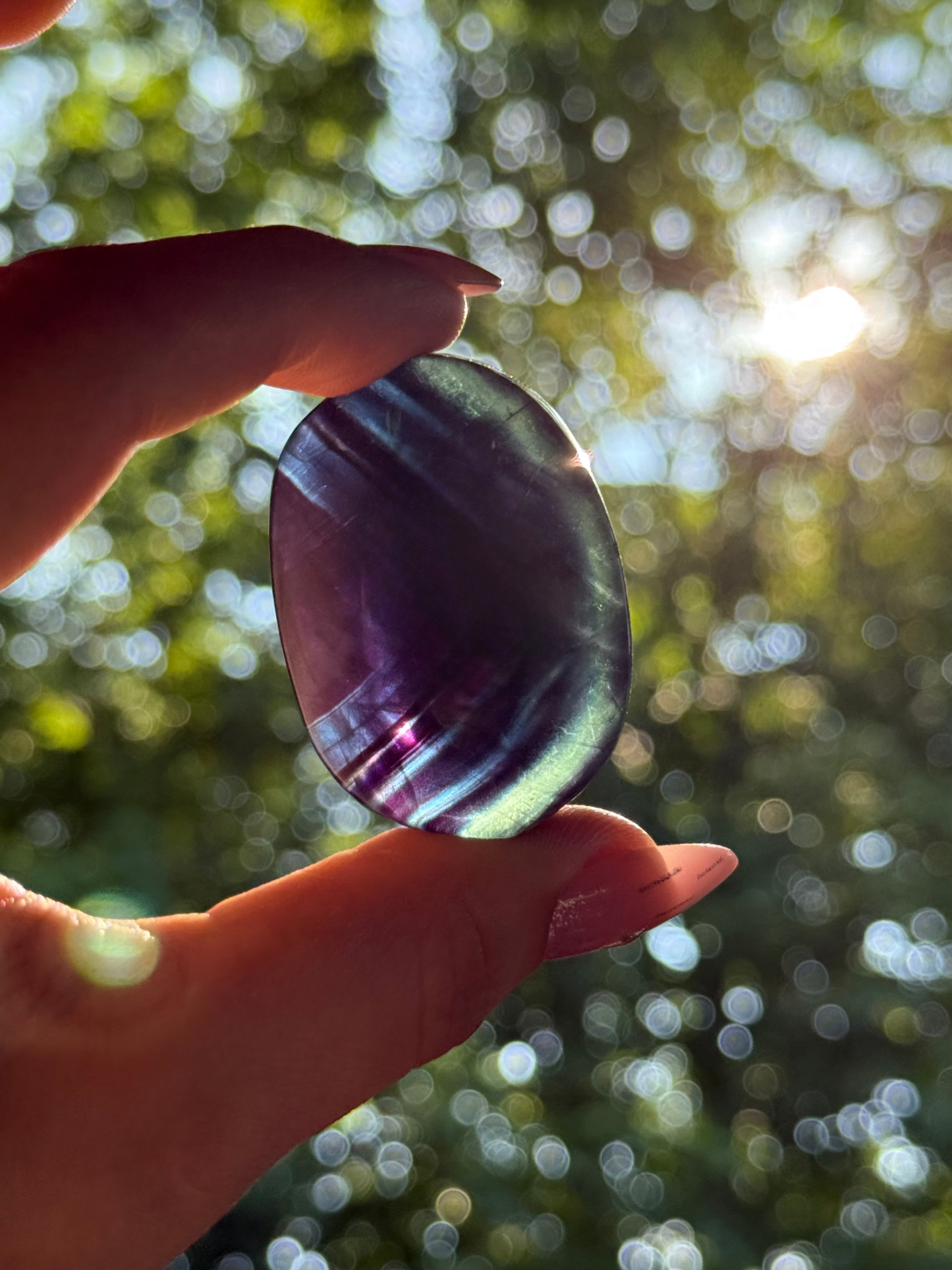Black Rose Fluorite Palmstone D