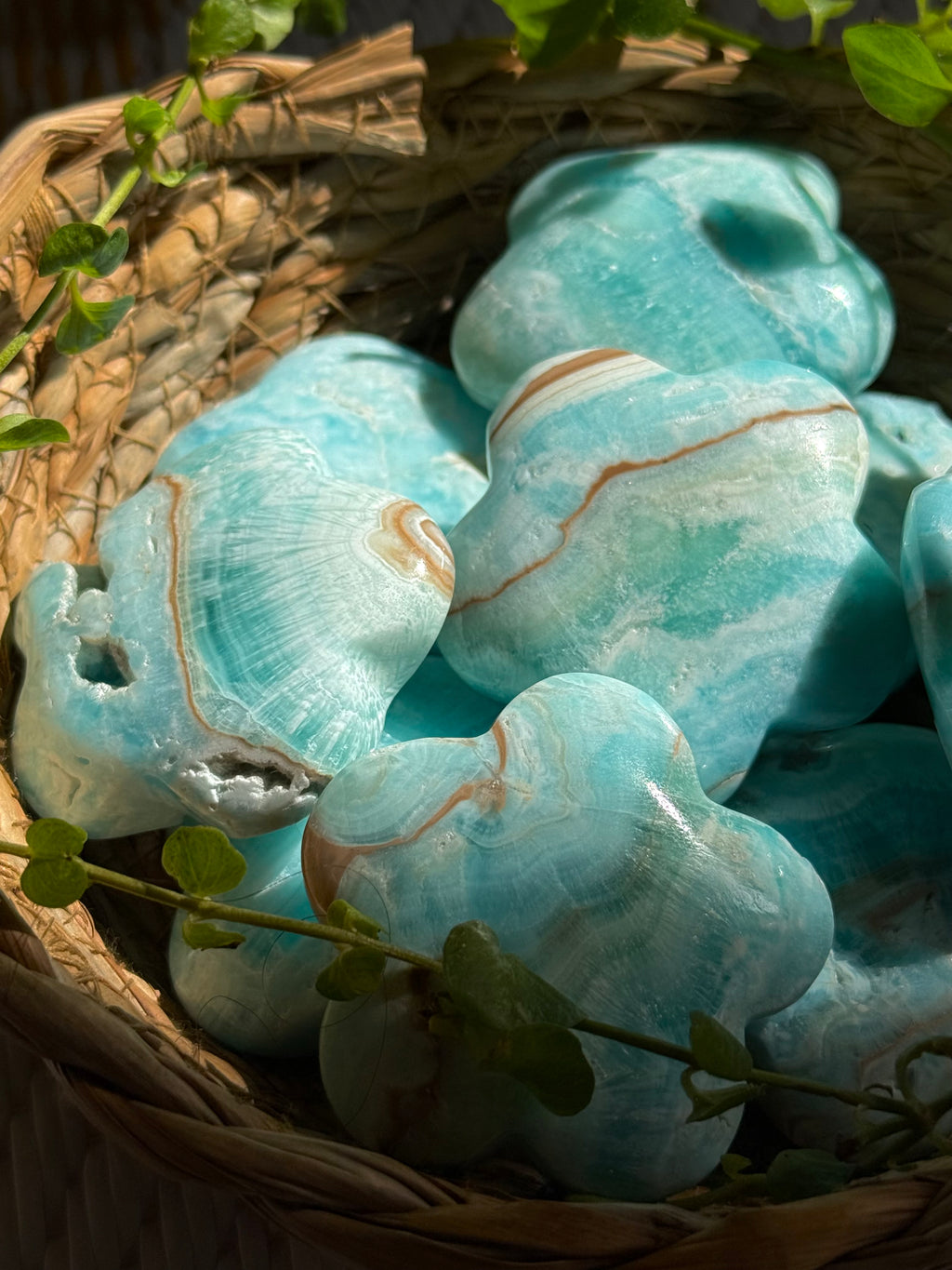 Blue Aragonite Flower Palmston