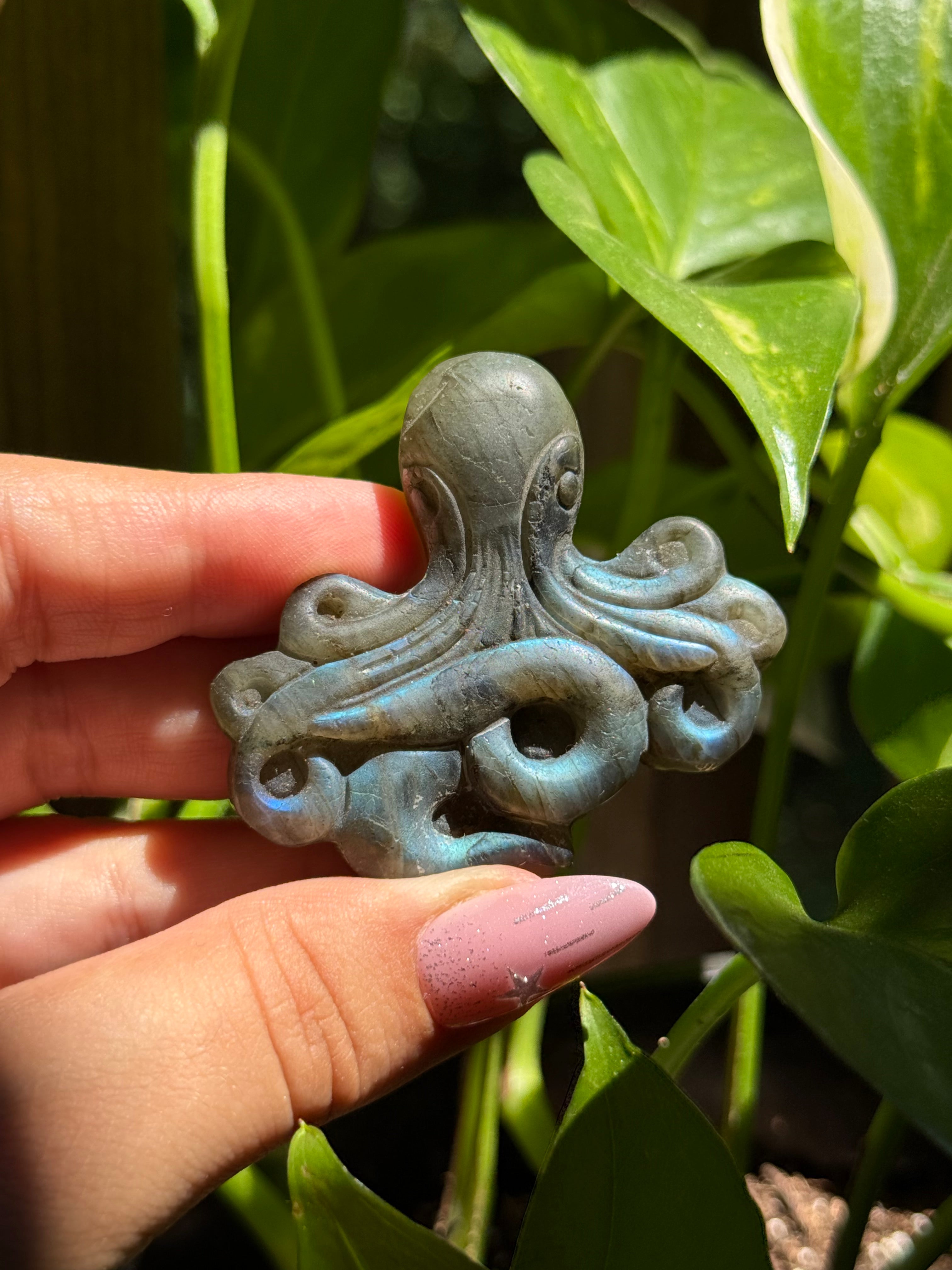 Labradorite Octopus Carving E