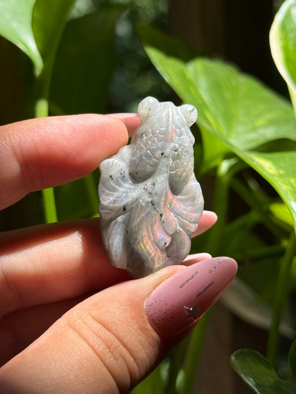 Labradorite Goldfish Carving B