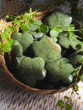 Green Serpentine Flower Palmstone