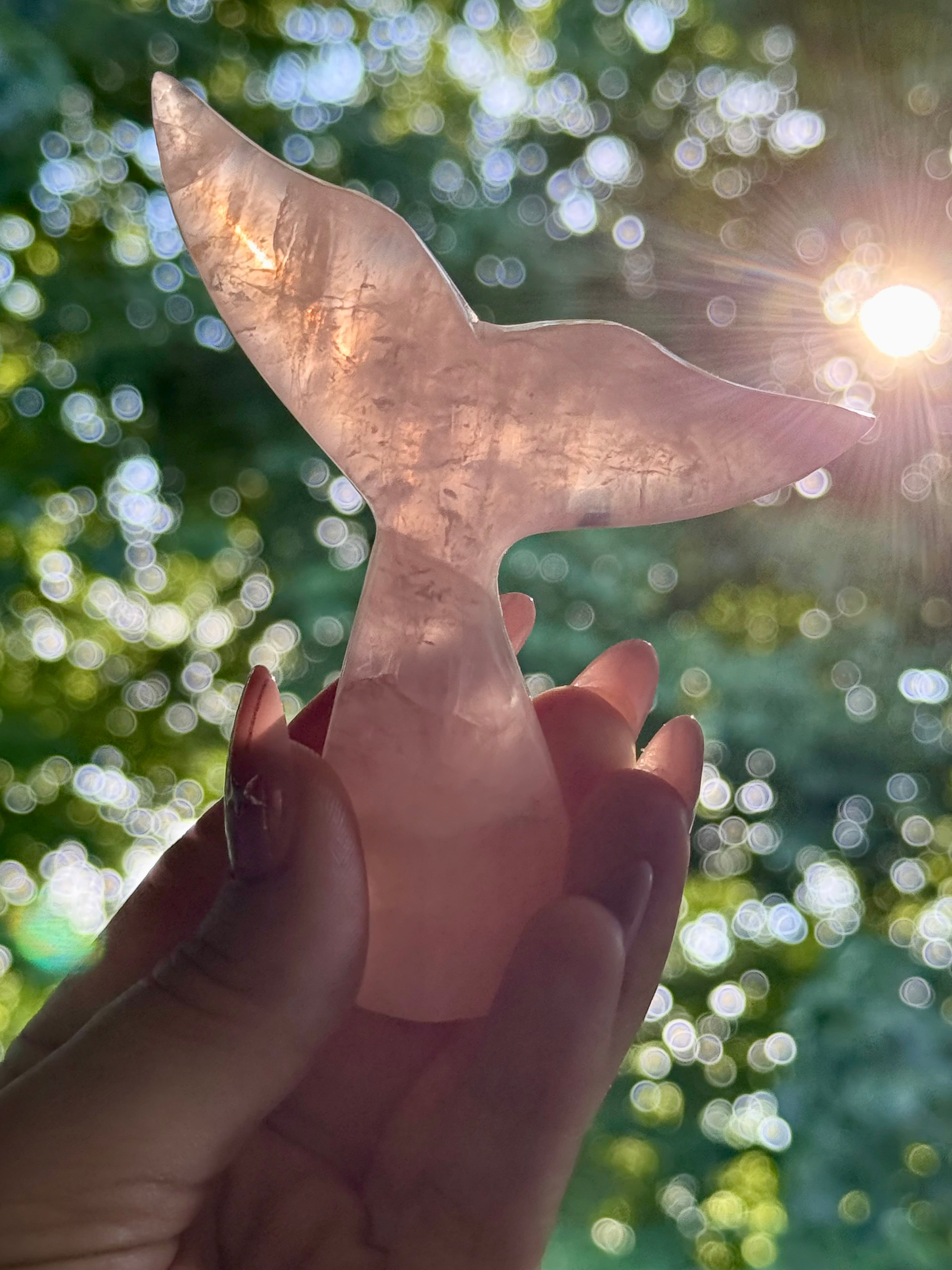 Rose Quartz Whale (Mermaid) Tail C