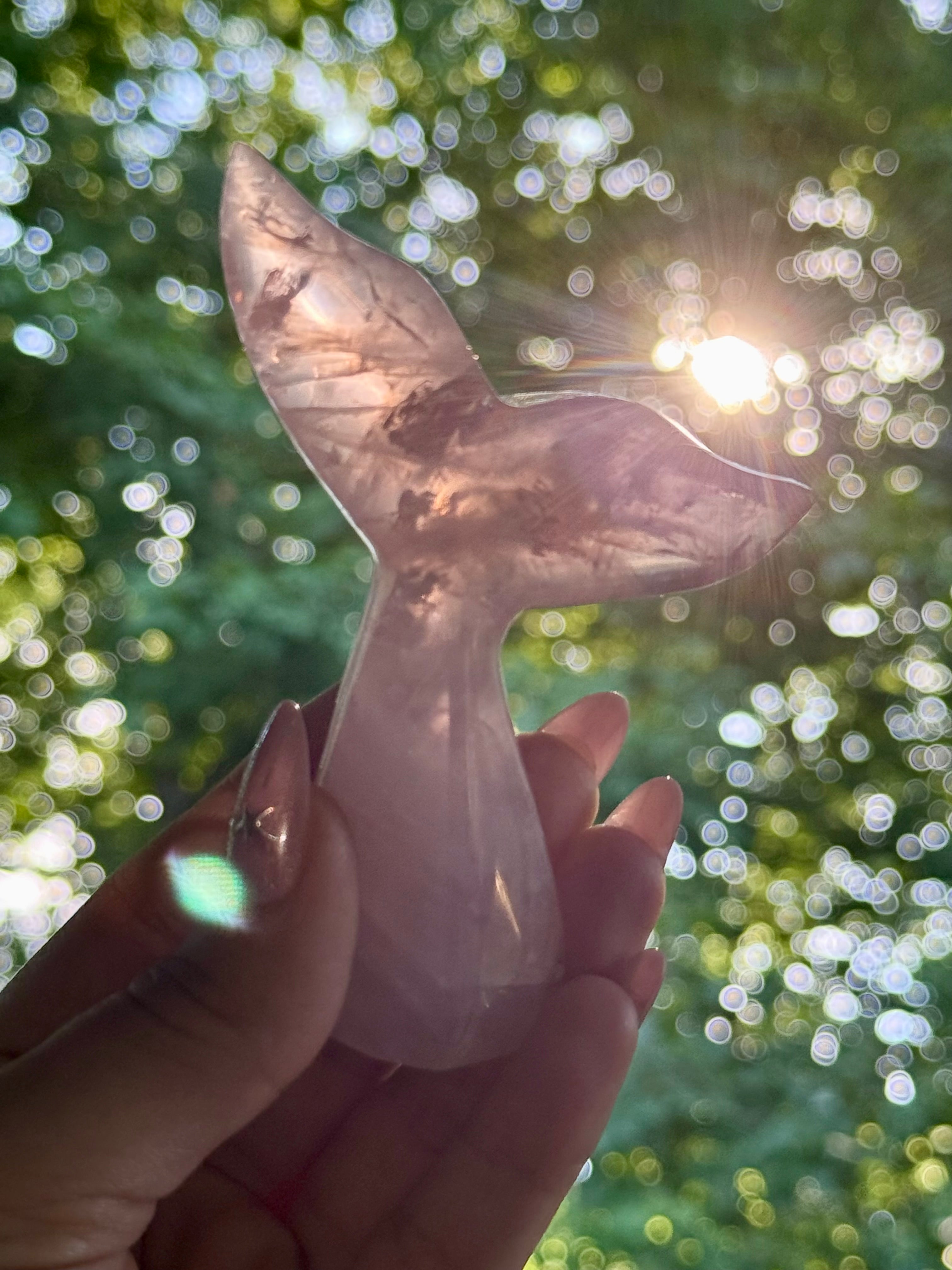 Rose Quartz Whale (Mermaid) Tail B