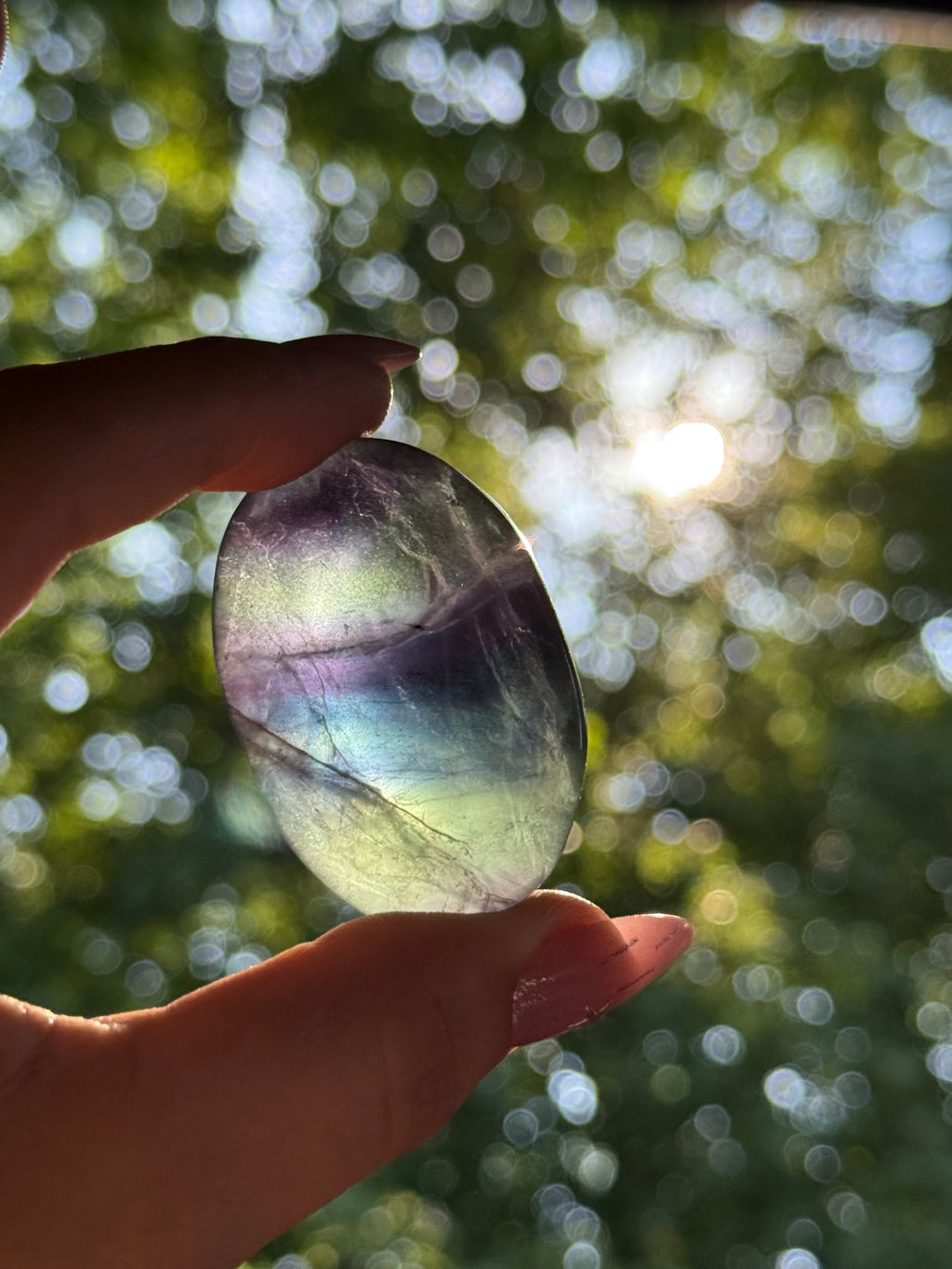 Black Rose Fluorite Palmstone E