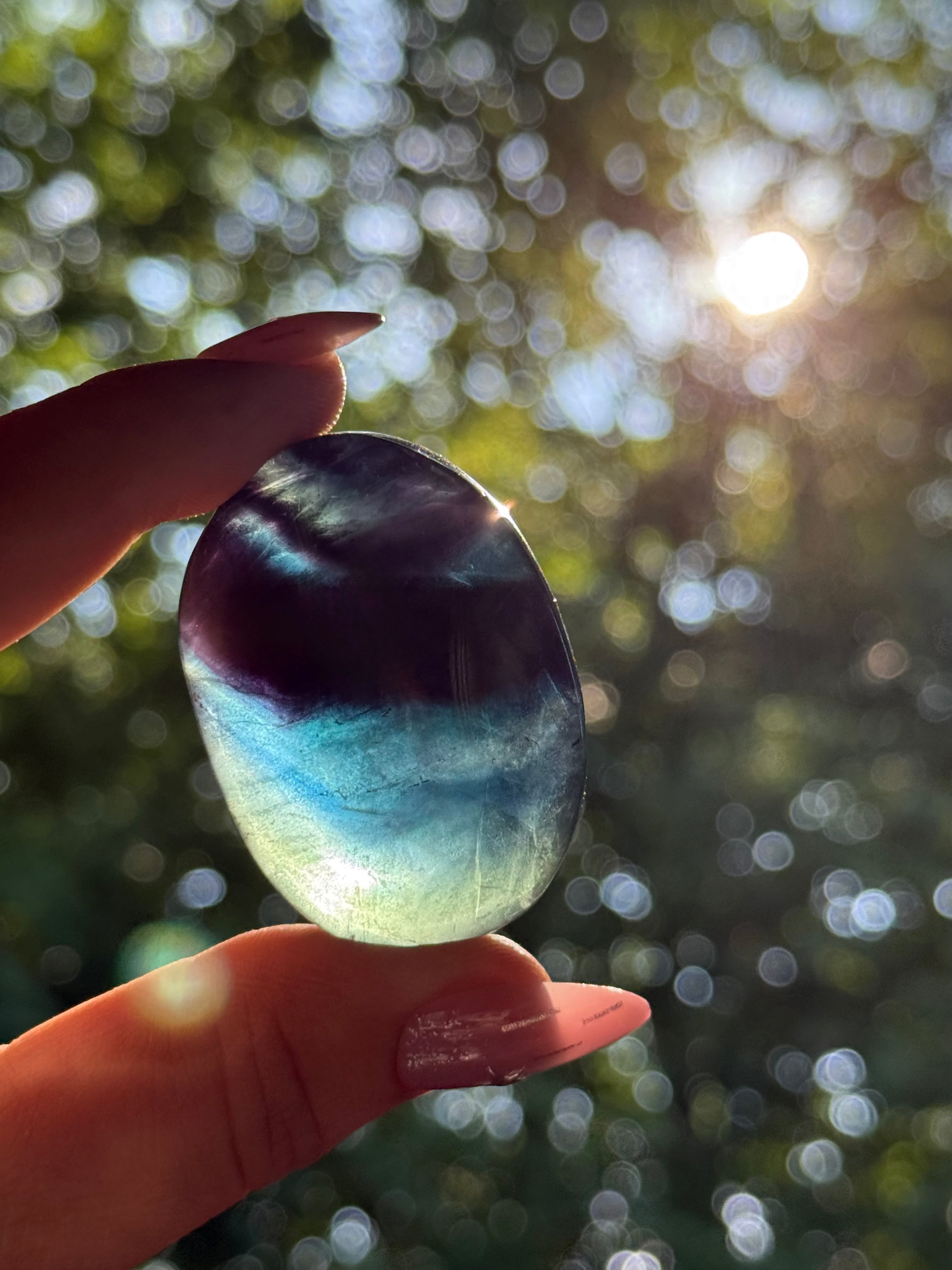 Black Rose Fluorite Palmstone C