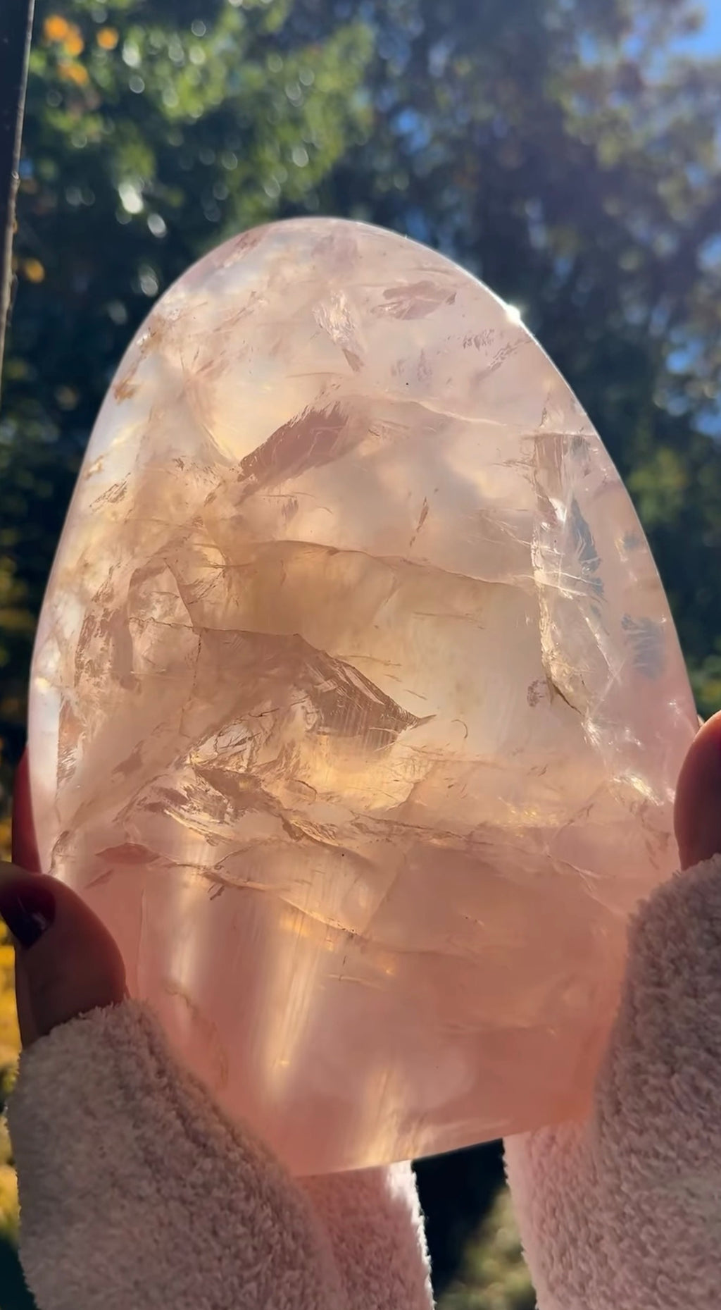 Moonbeam M (2) - Crystal Live Sale Listing 23/24