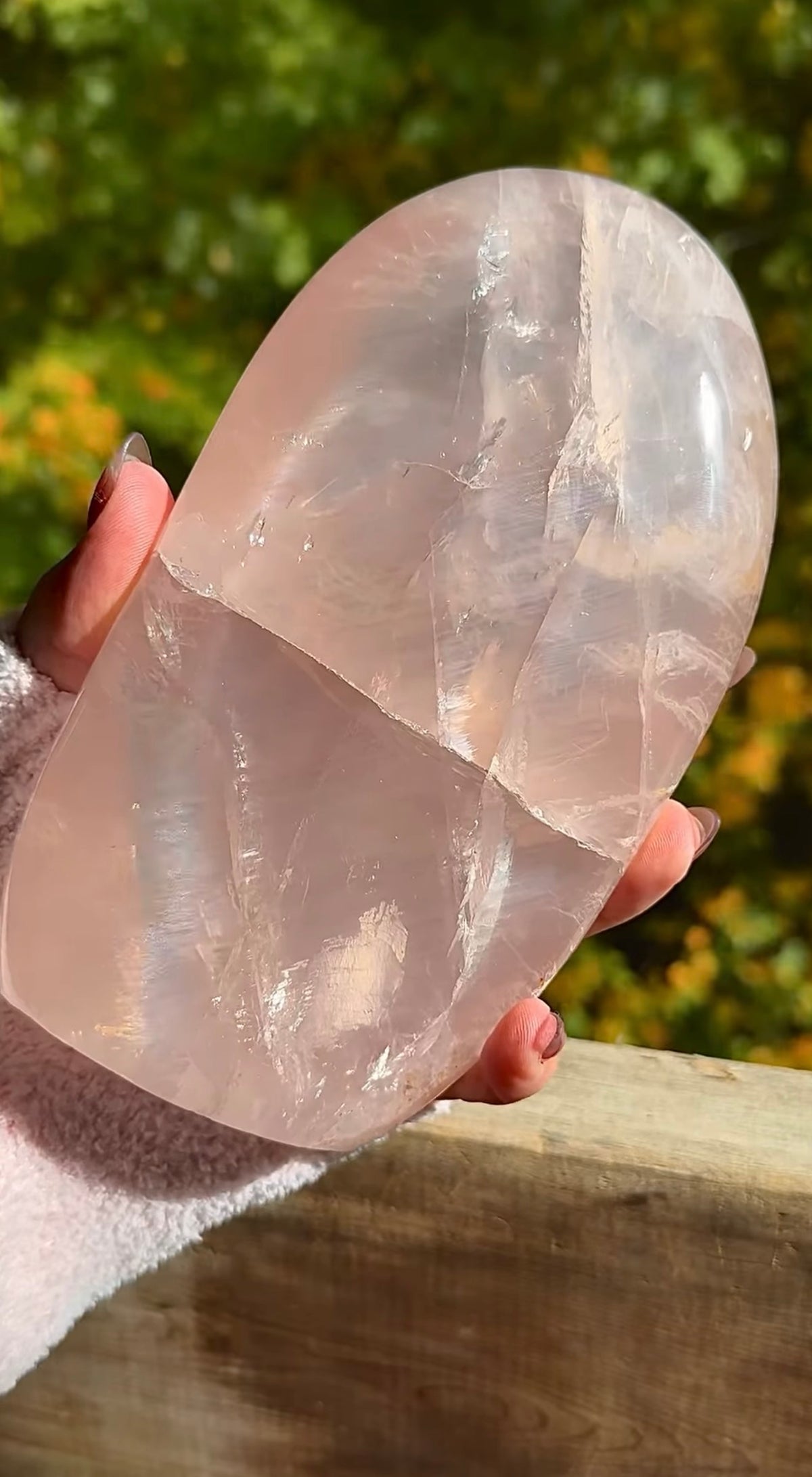 Annabell - Crystal Live Sale Listing 23/24