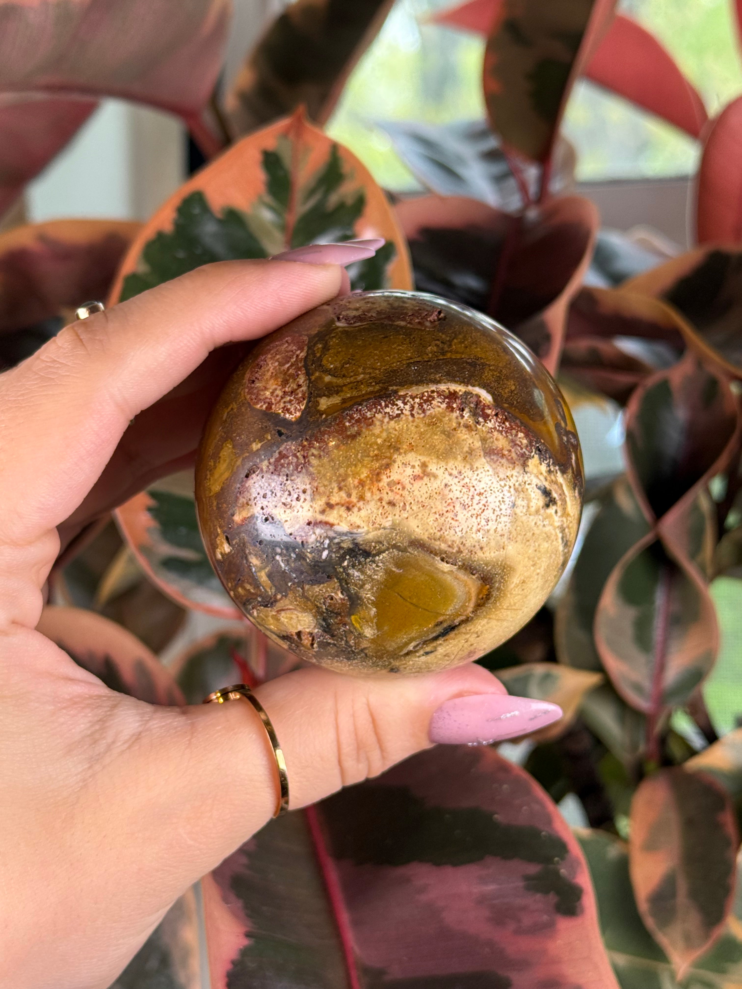 Petrified Wood Sphere Chocolate