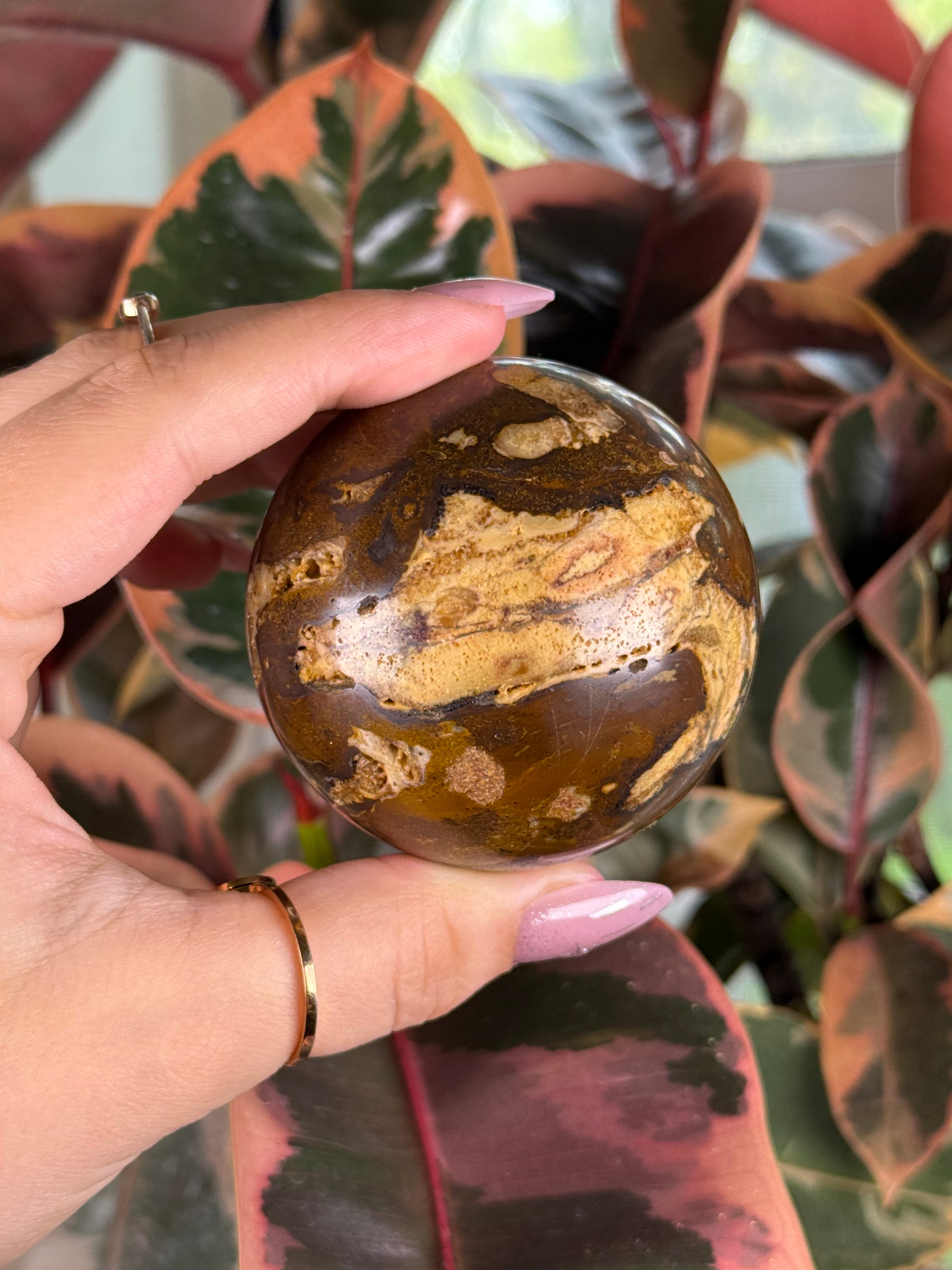 Petrified Wood Sphere Chocolate