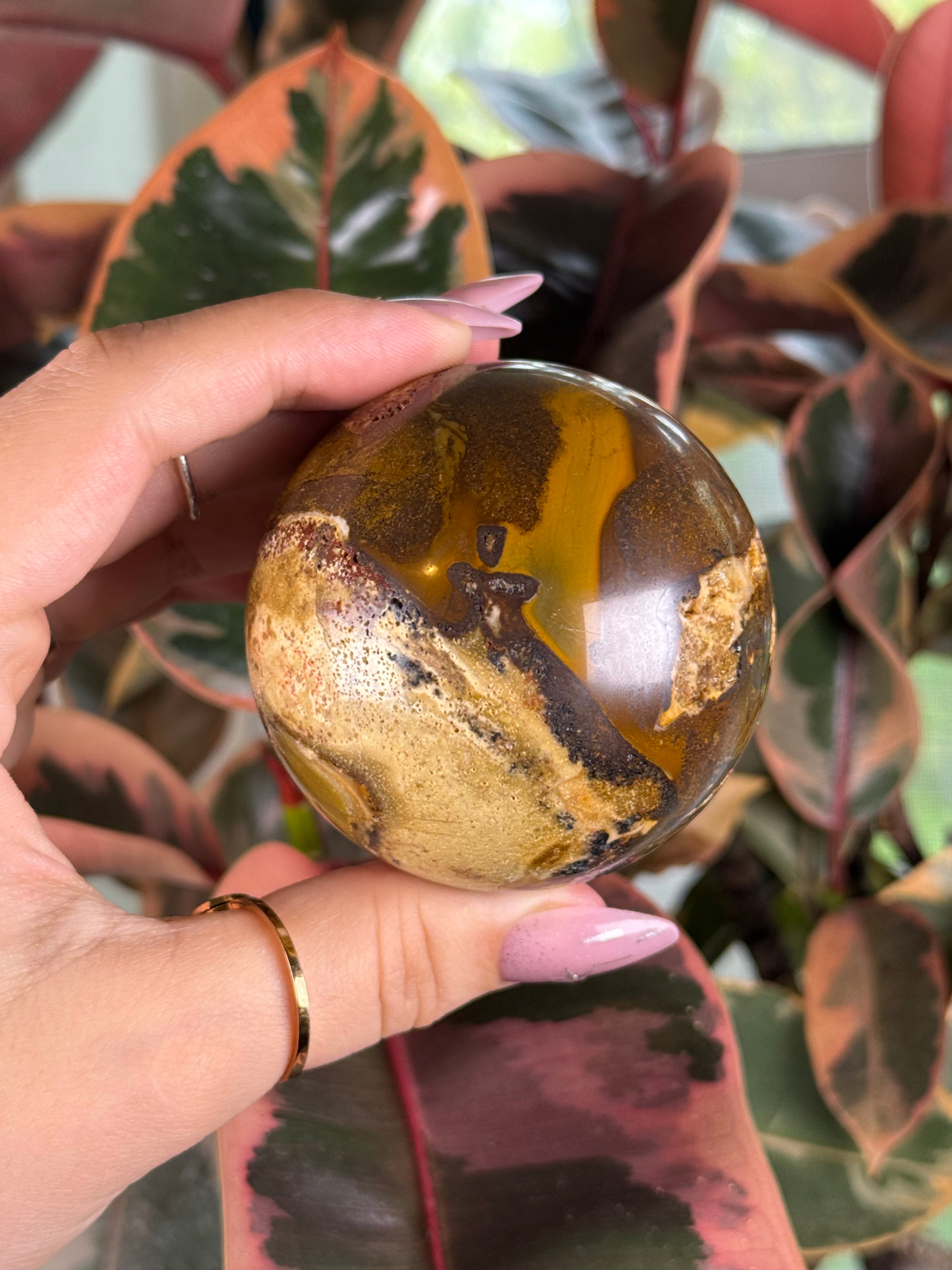Petrified Wood Sphere Chocolate
