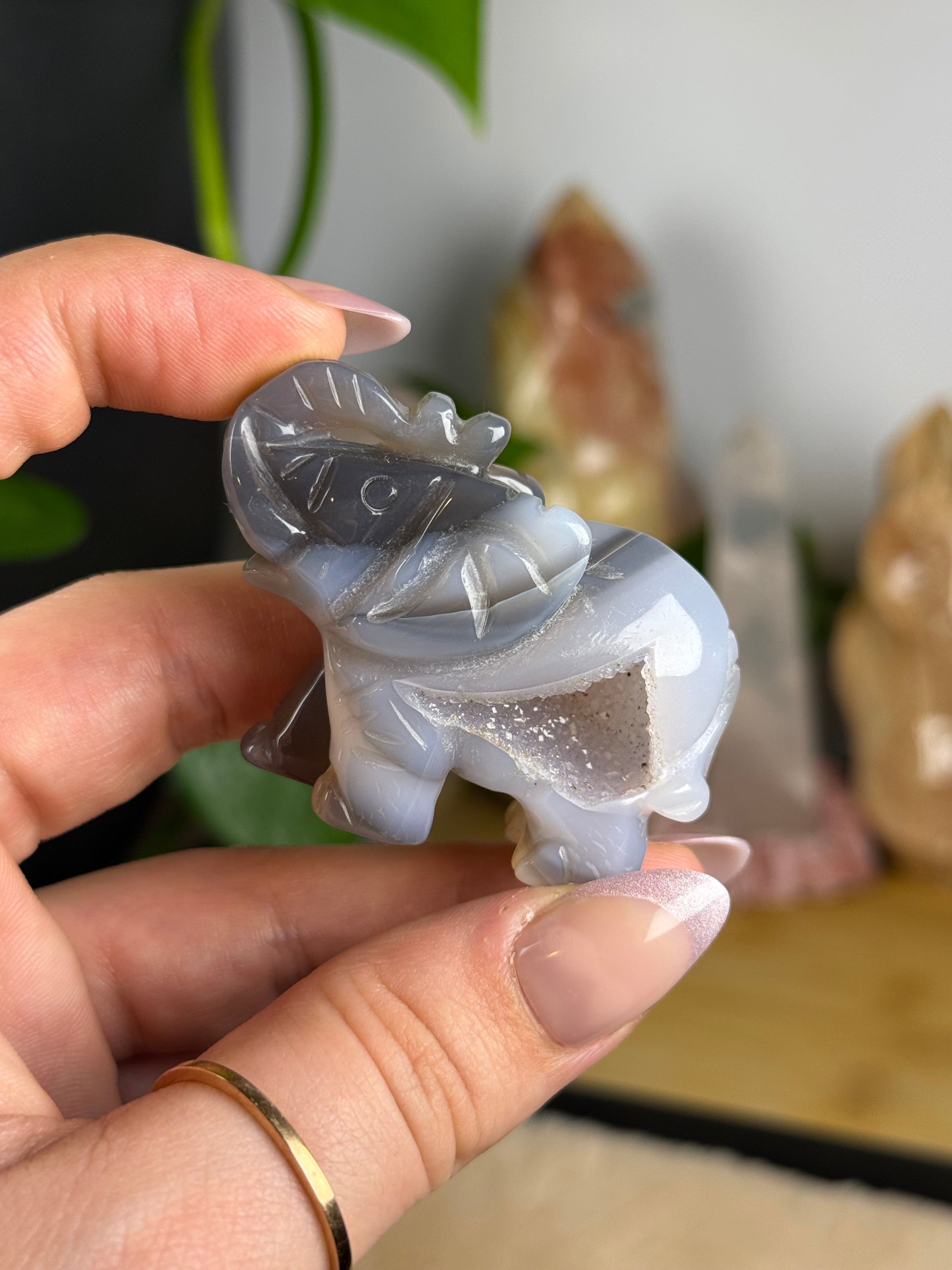 Orca Agate Druzy Elephant Carving