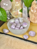 Kunzite Tumbles UV Reactive