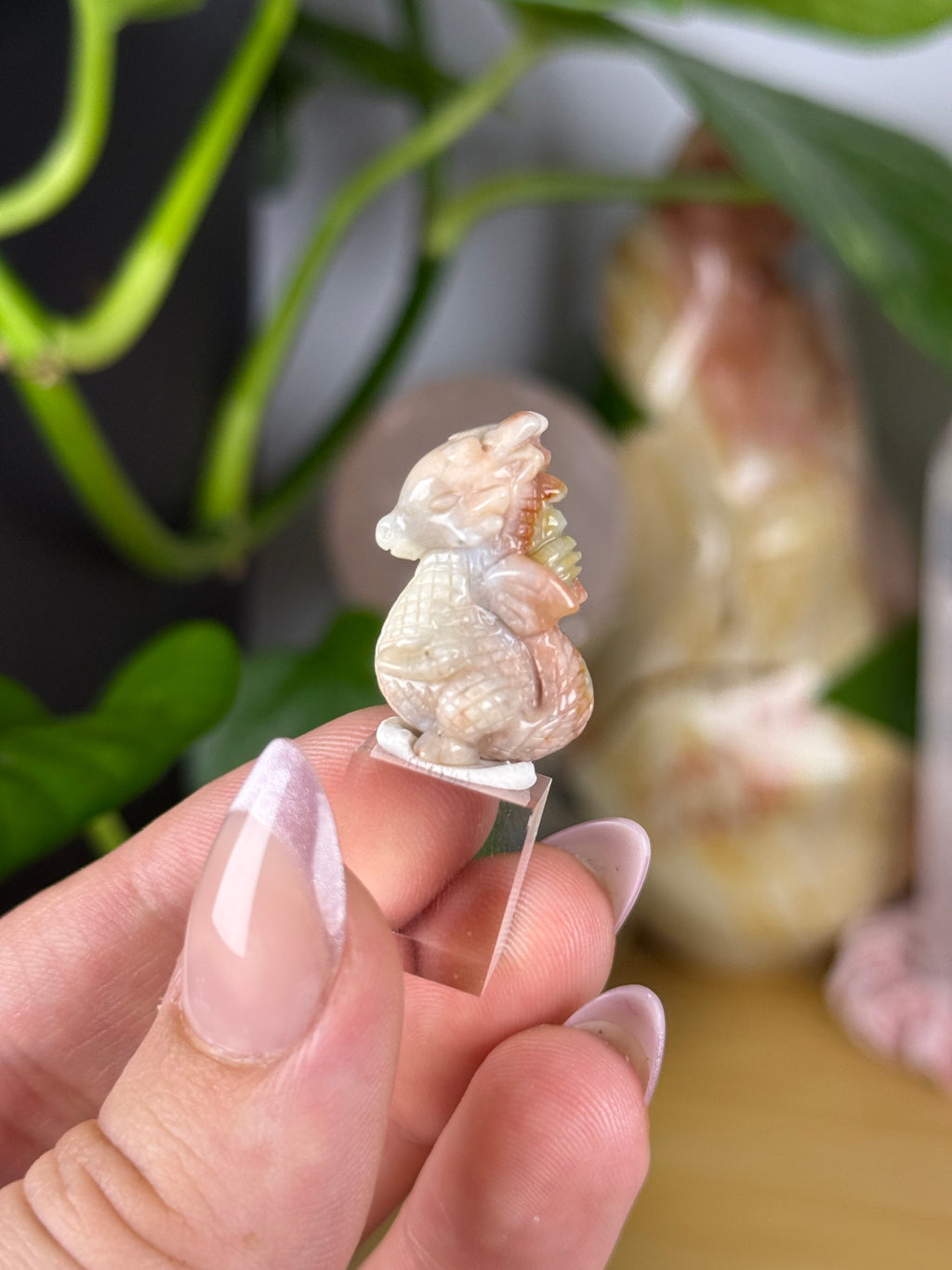 Alashan Agate Mini Carvings RARE Agates