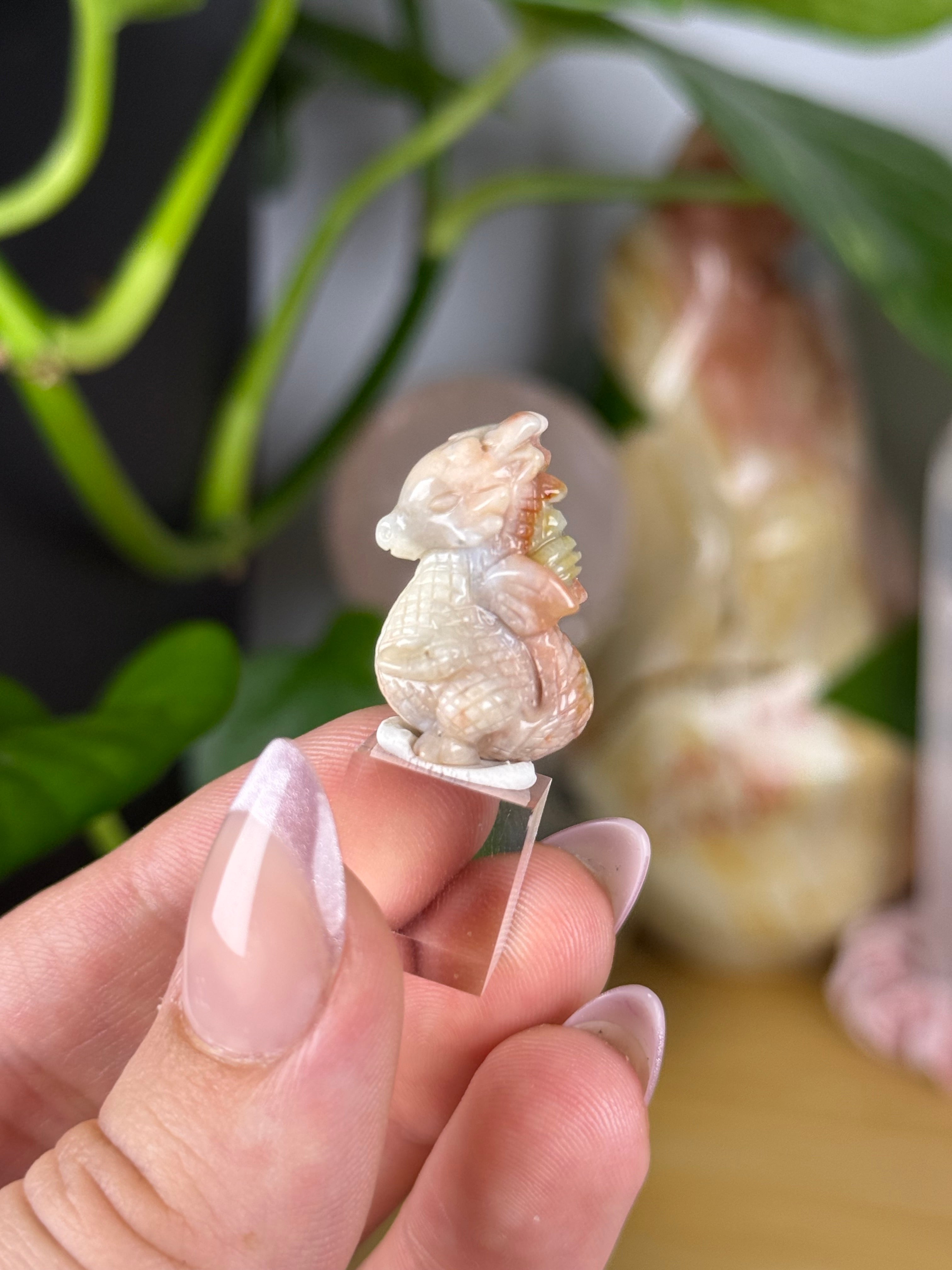 Alashan Agate Mini Carvings RARE Agates