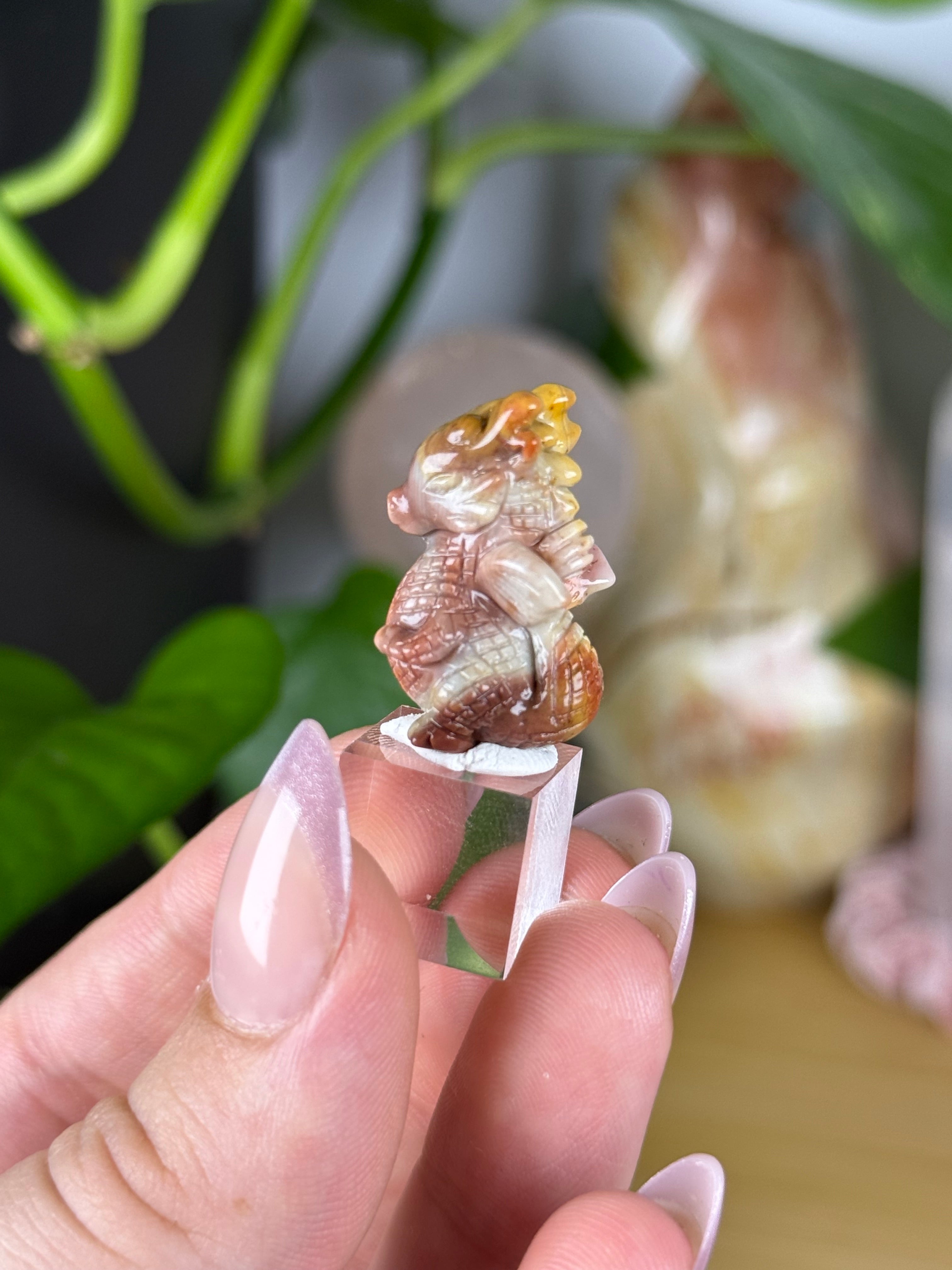 Alashan Agate Mini Carvings RARE Agates