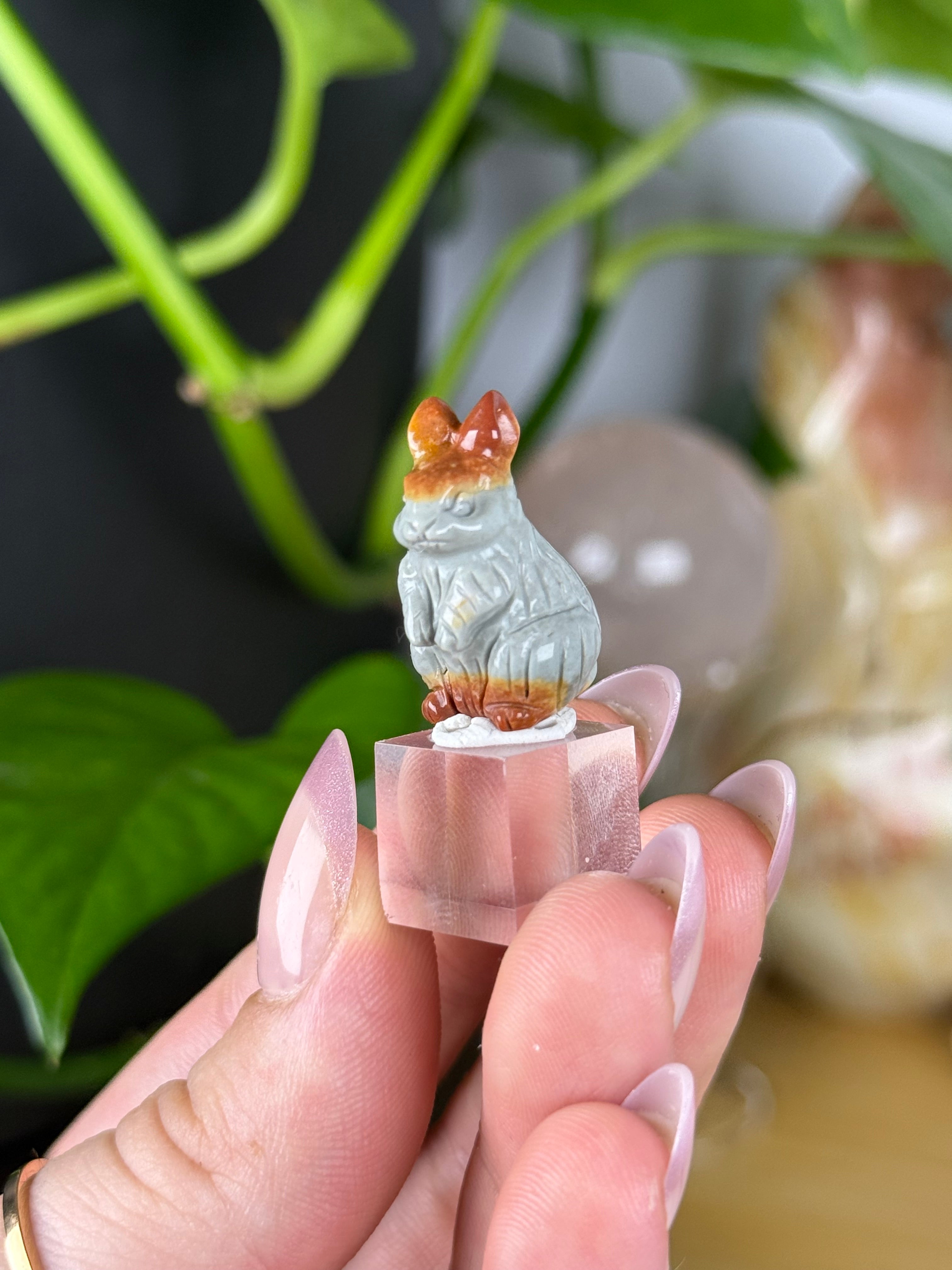 Alashan Agate Mini Carvings RARE Agates