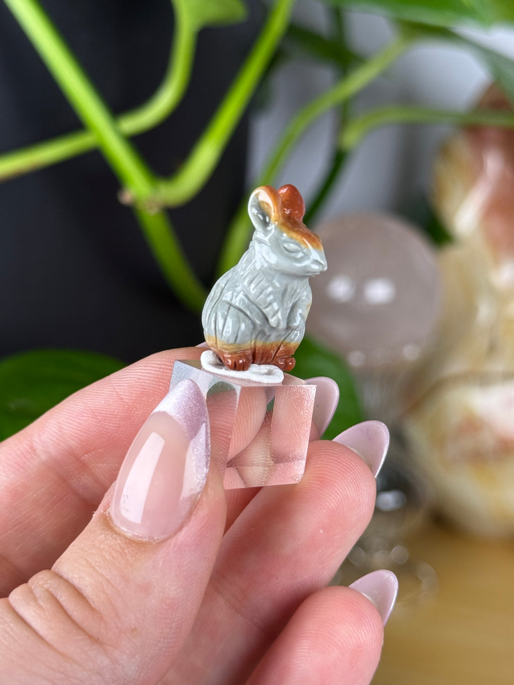Alashan Agate Mini Carvings RARE Agates