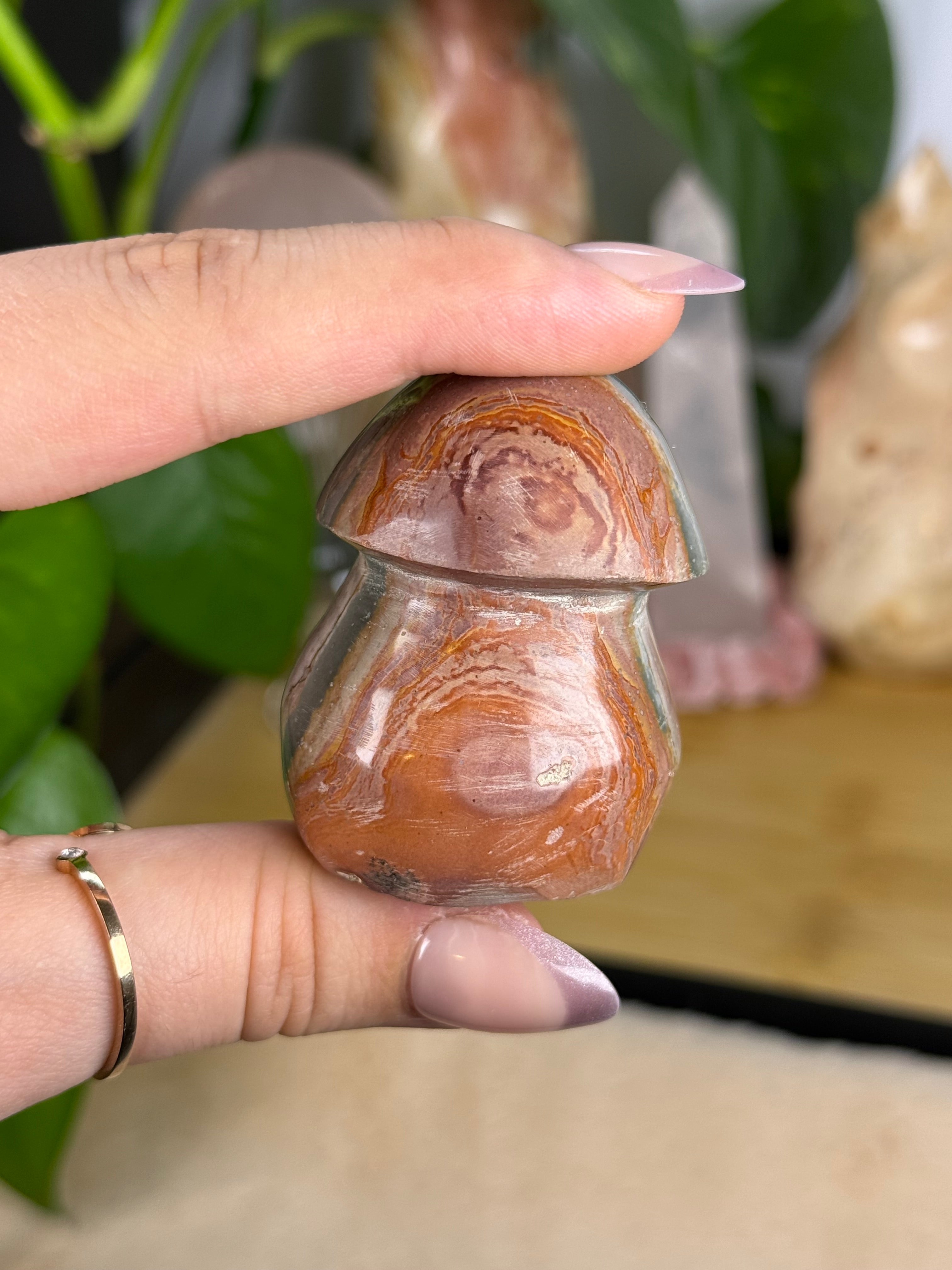 Polychrome Jasper Mushrooms