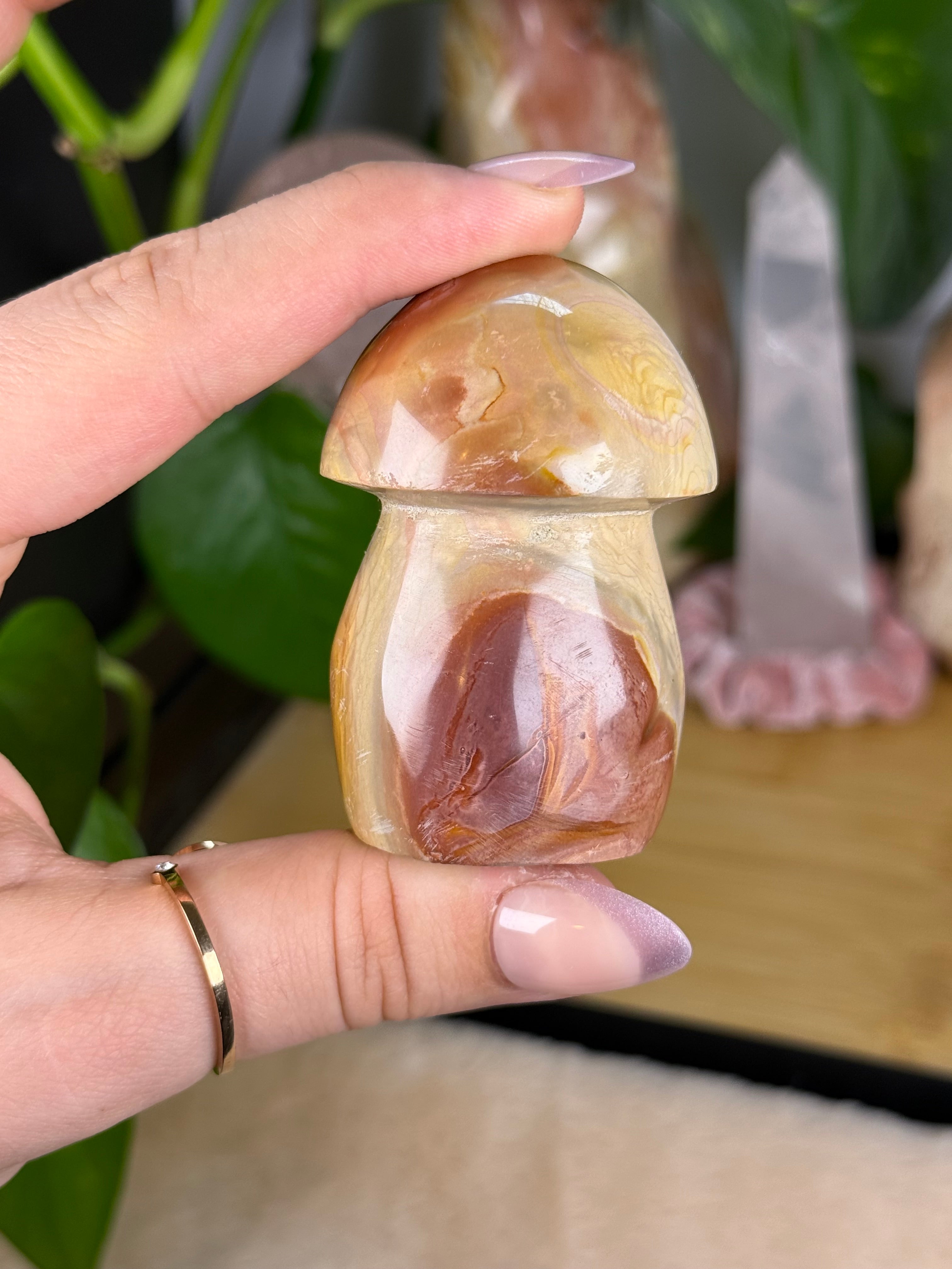 Polychrome Jasper Mushrooms