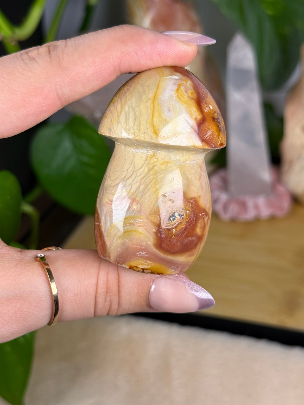 Polychrome Jasper Mushrooms