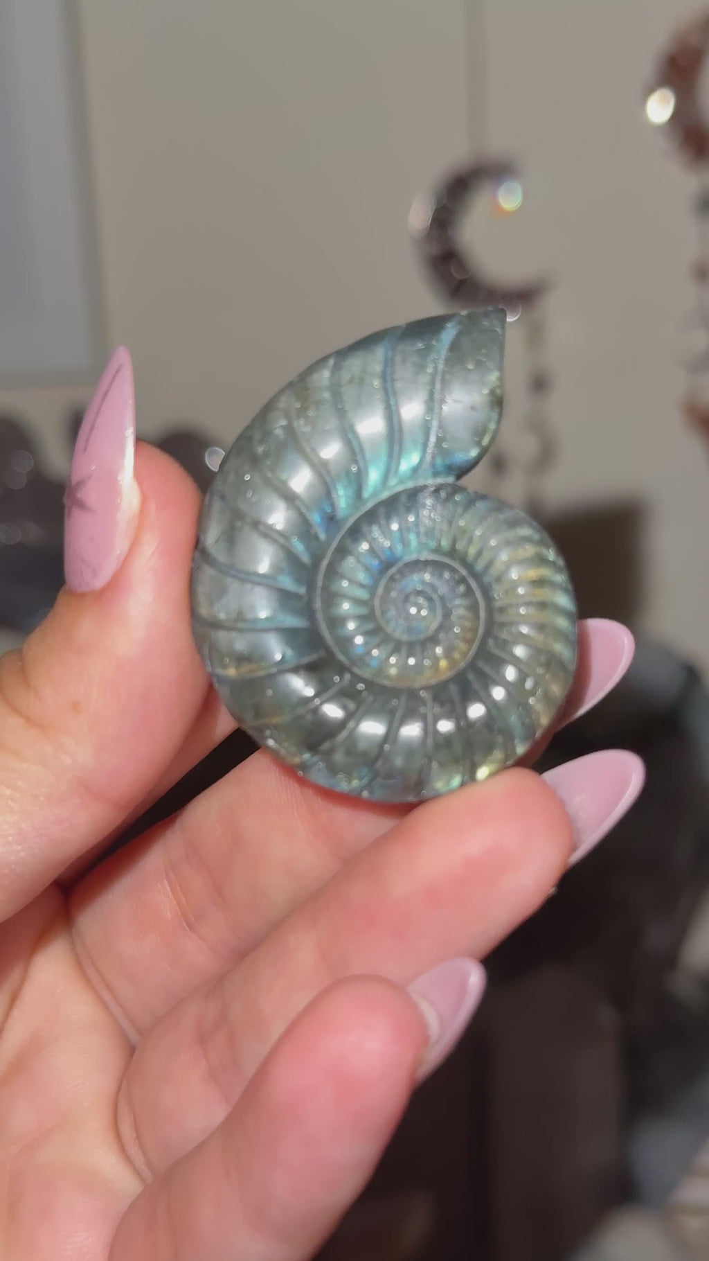 Labradorite Ammonite Carving C