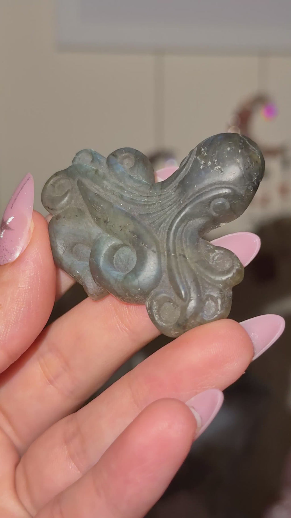 Labradorite Octopus Carving C