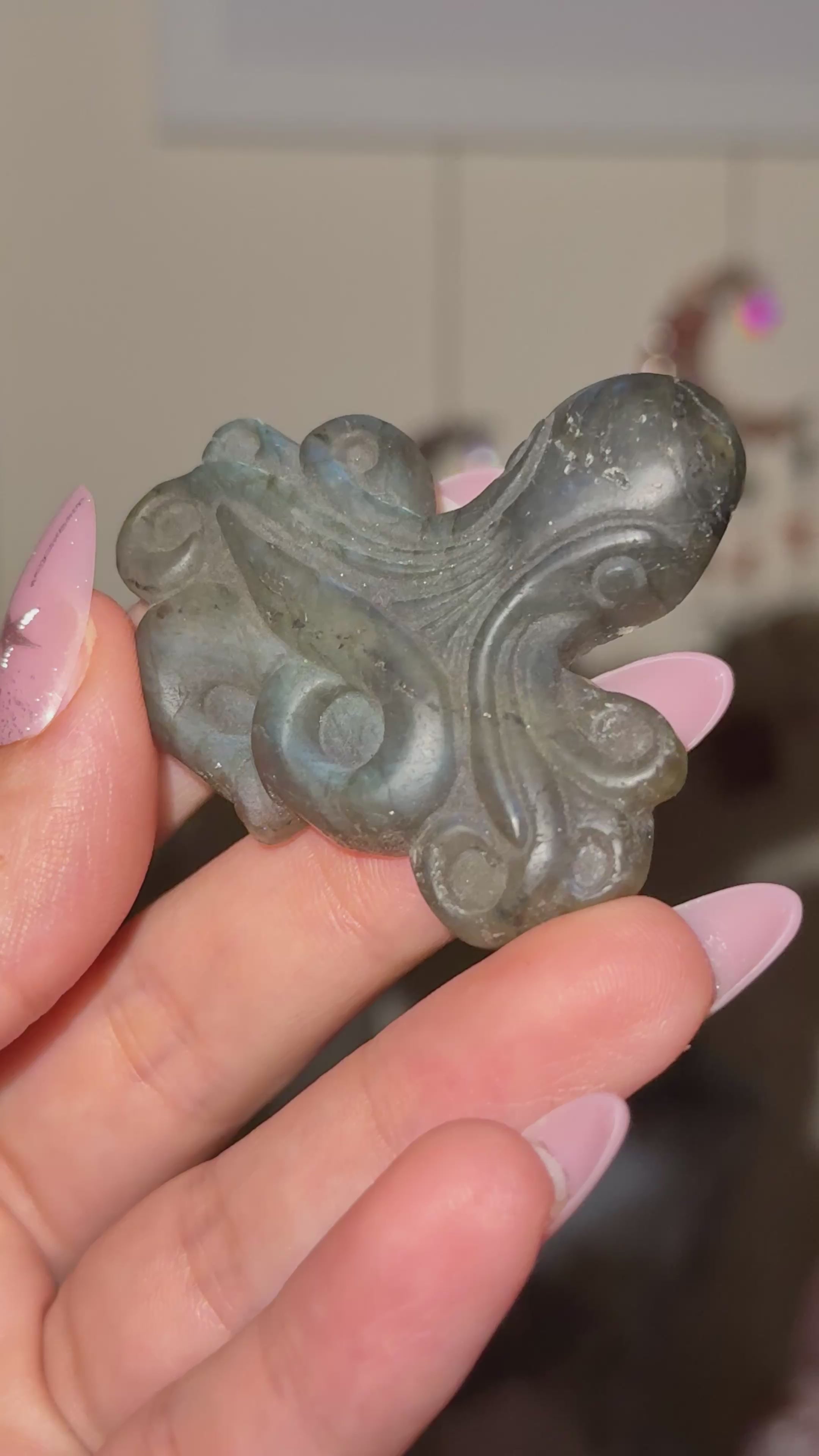 Labradorite Octopus Carving C