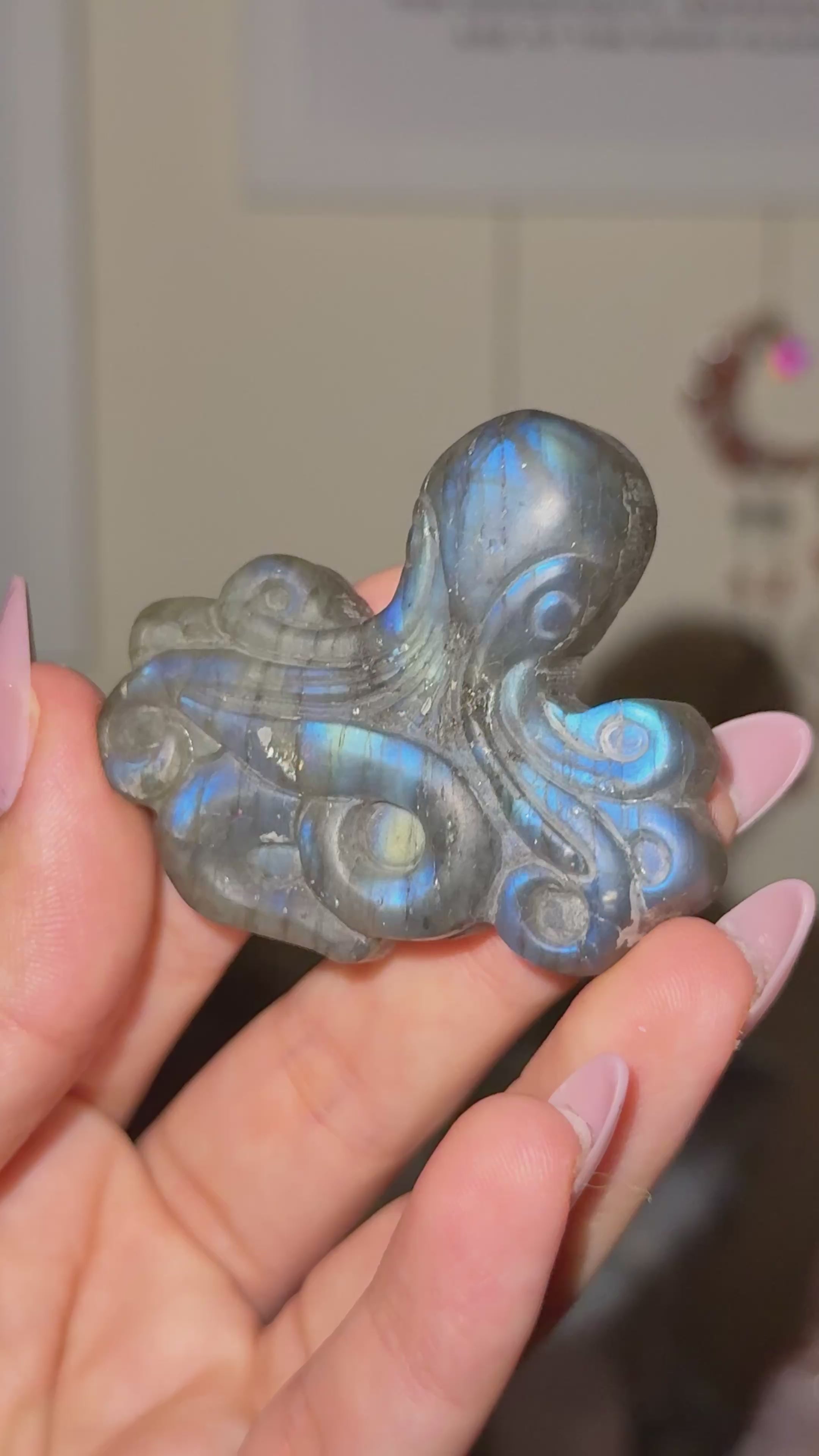 Labradorite Octopus Carving F