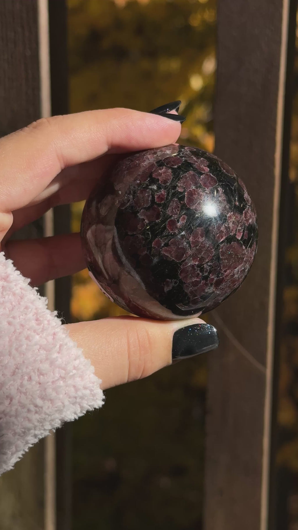 Arfvedsonite with Garnet Sphere (s)