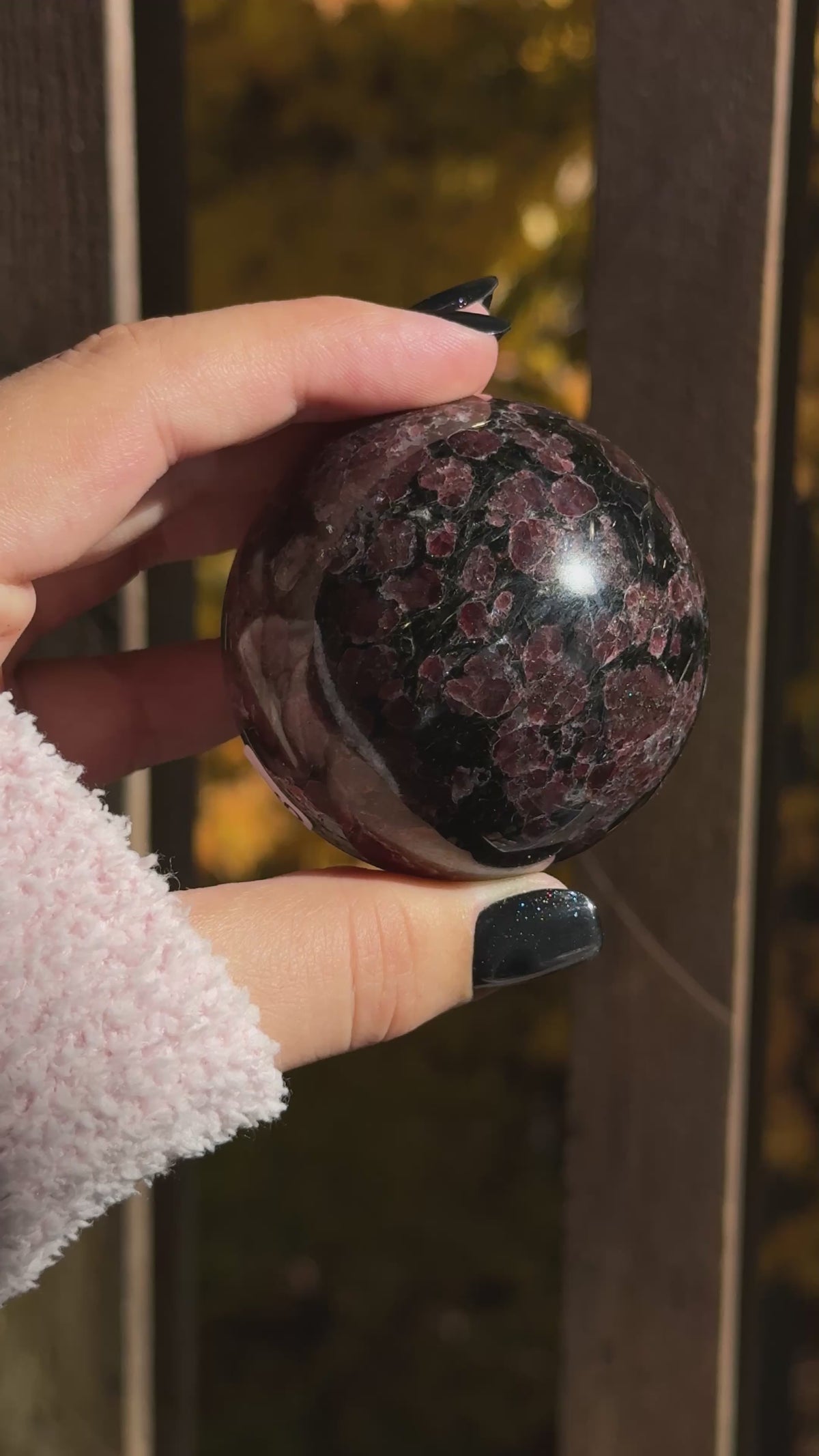 Arfvedsonite with Garnet Sphere (s)