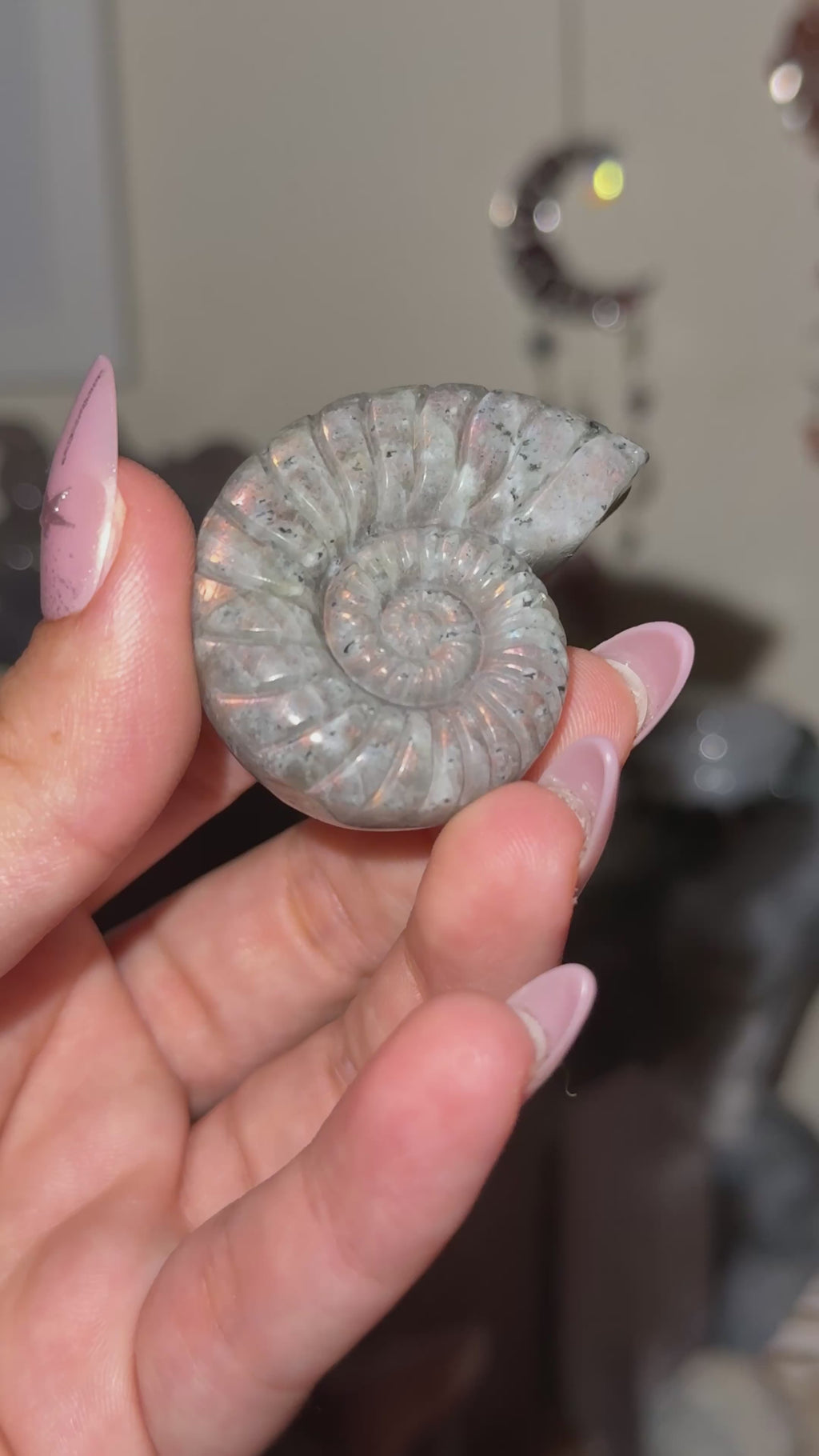 Labradorite Ammonite Carving B