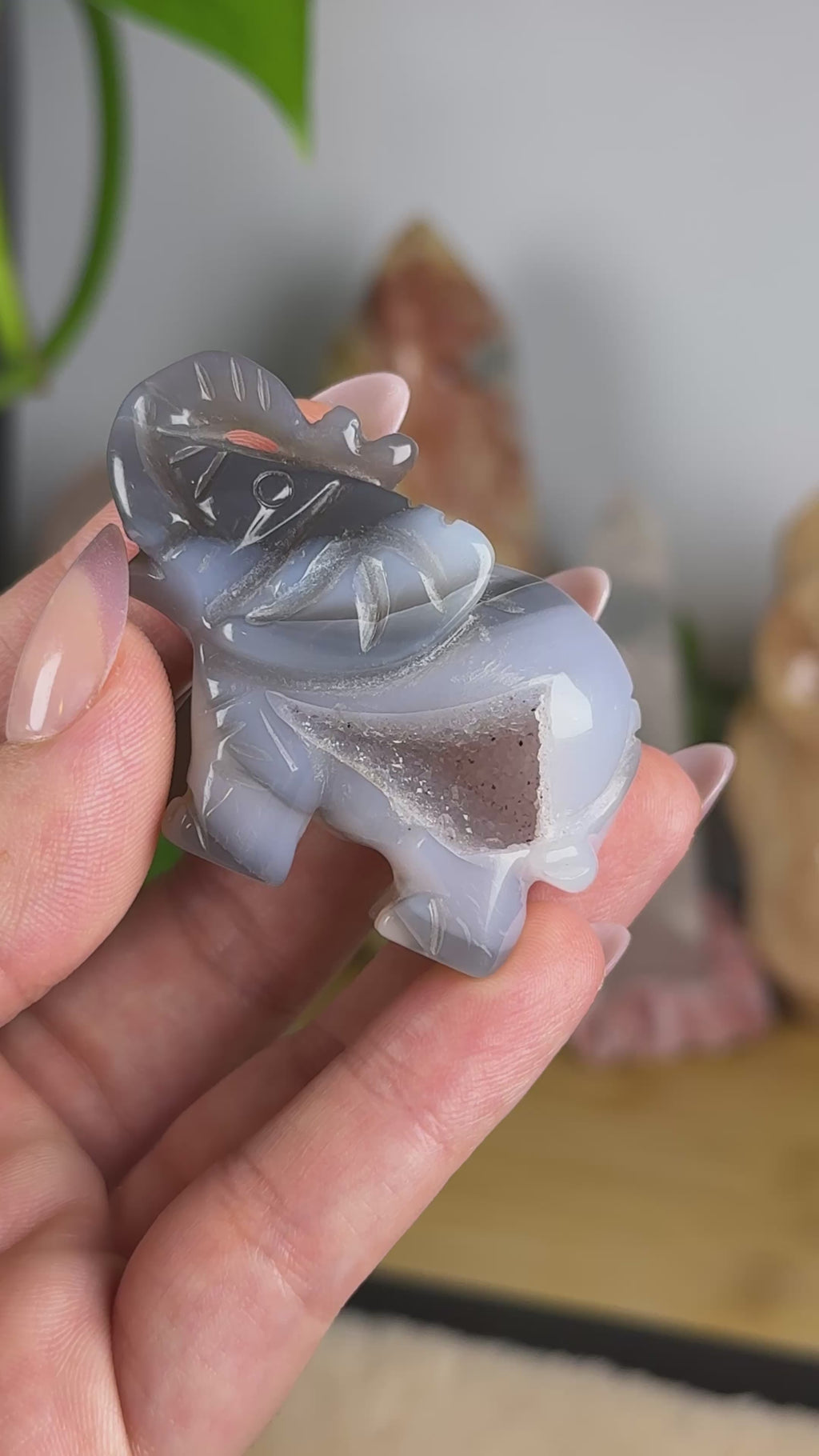 Orca Agate Druzy Elephant Carving